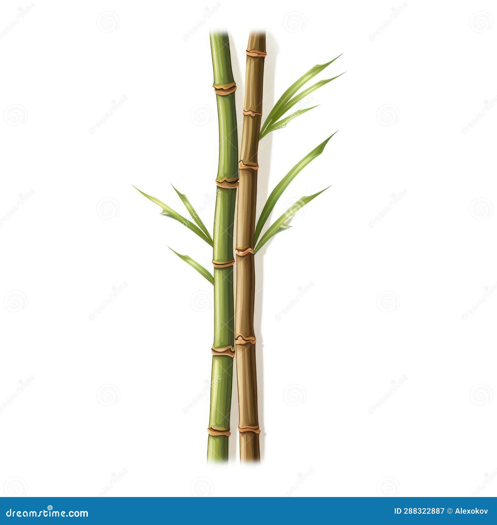 Isolated Bamboo Stick on White Background AI Generated Stock