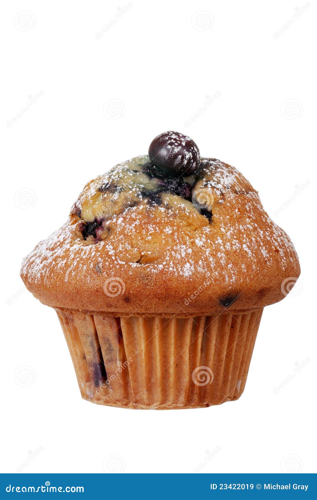 Isolated Blueberry Muffin with Icing Sugar Stock Image Image of chunk
