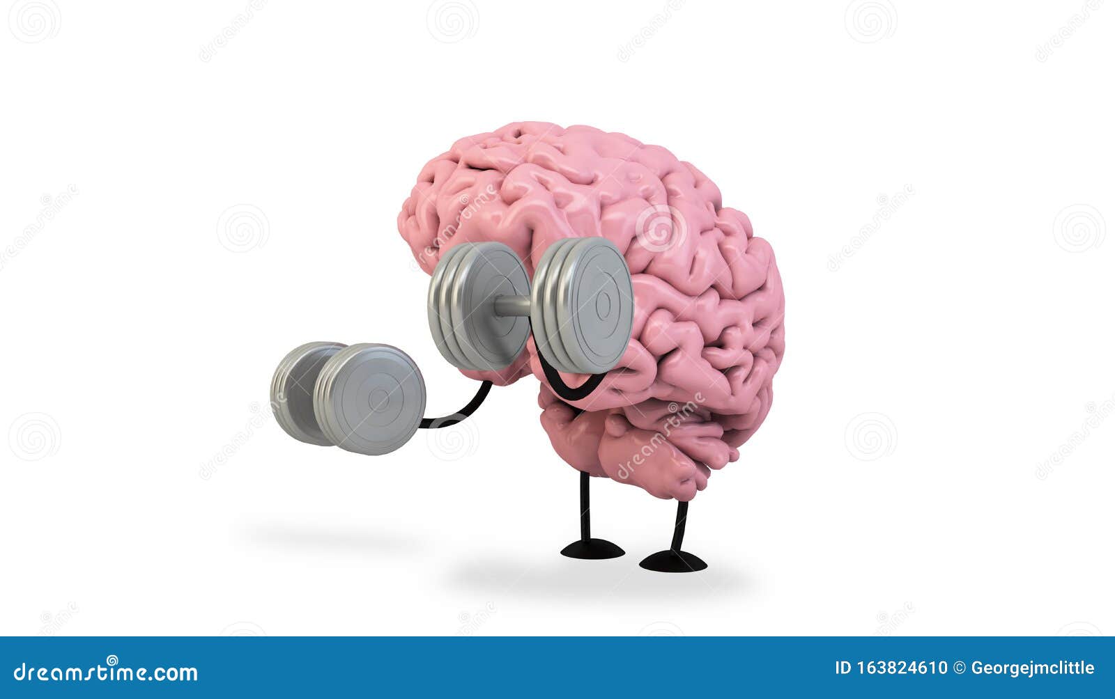 brain gym wii brain gym wii