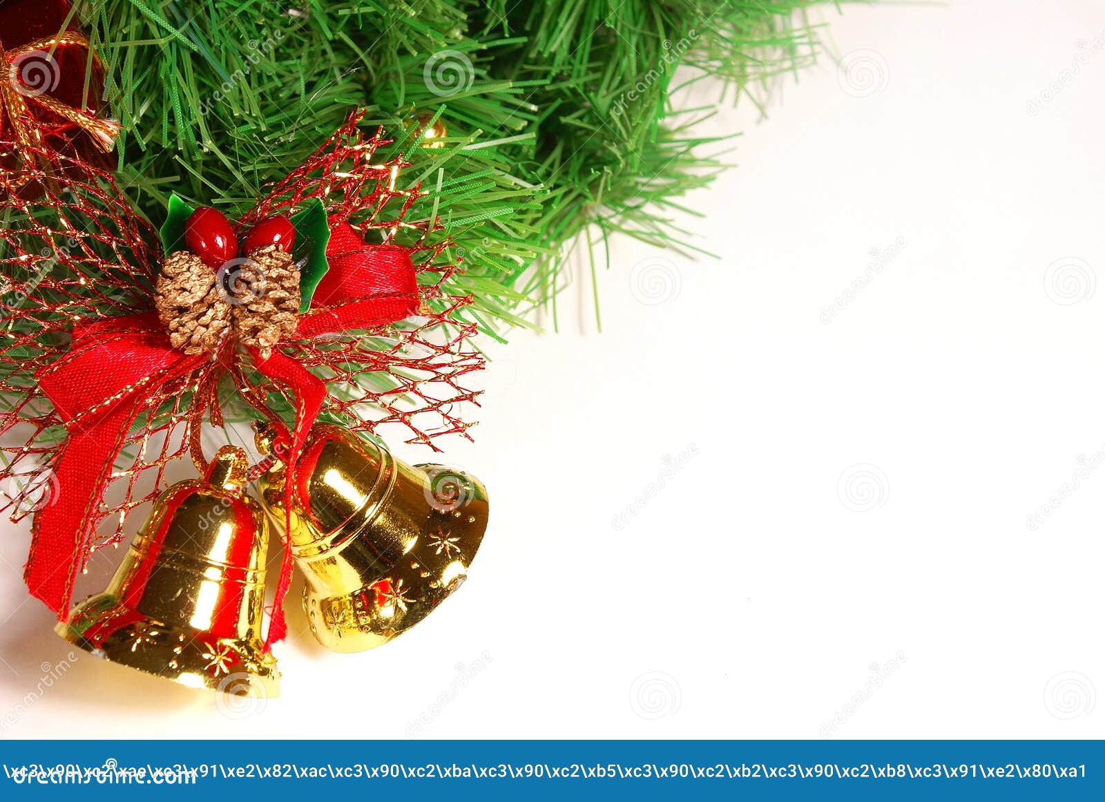 Isolated Branch of Xmas Tree Stock Photo Image of traditional