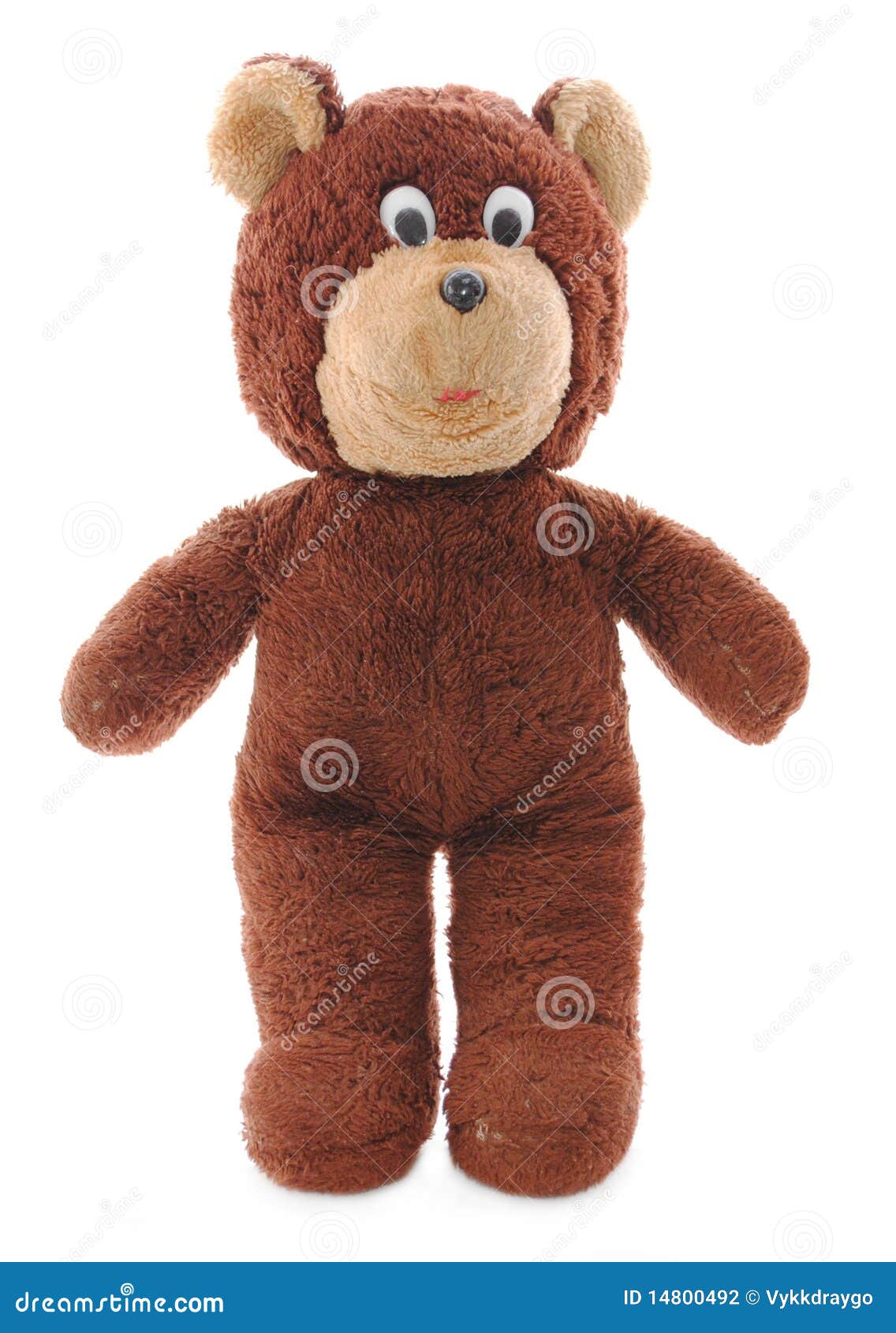 Isolated Brown Teddy Bear stock photo. Image of hibernate 14800492