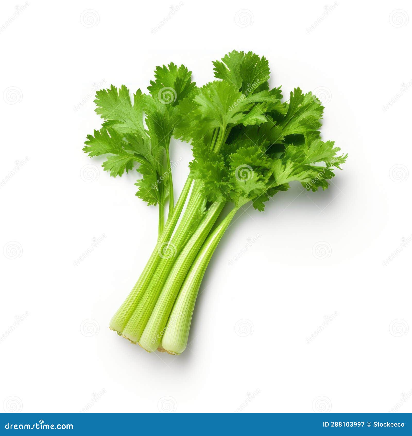  celery on white background - grandparentcore velvia style