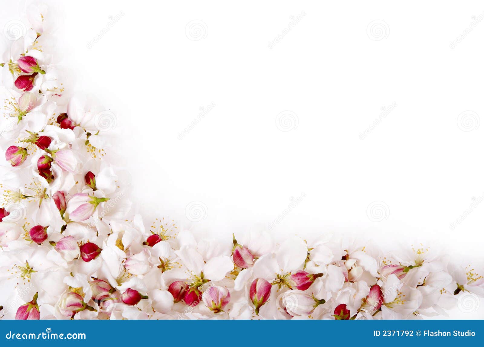 Cherry Blossom Border Templates