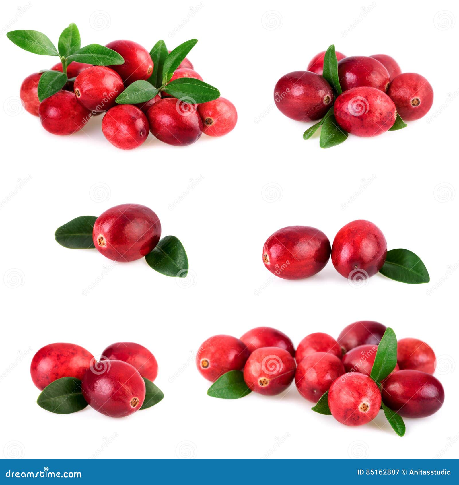 Isolated Cranberries Collection of Fresh Cranberry with Leaf Isolated on White Stock Image