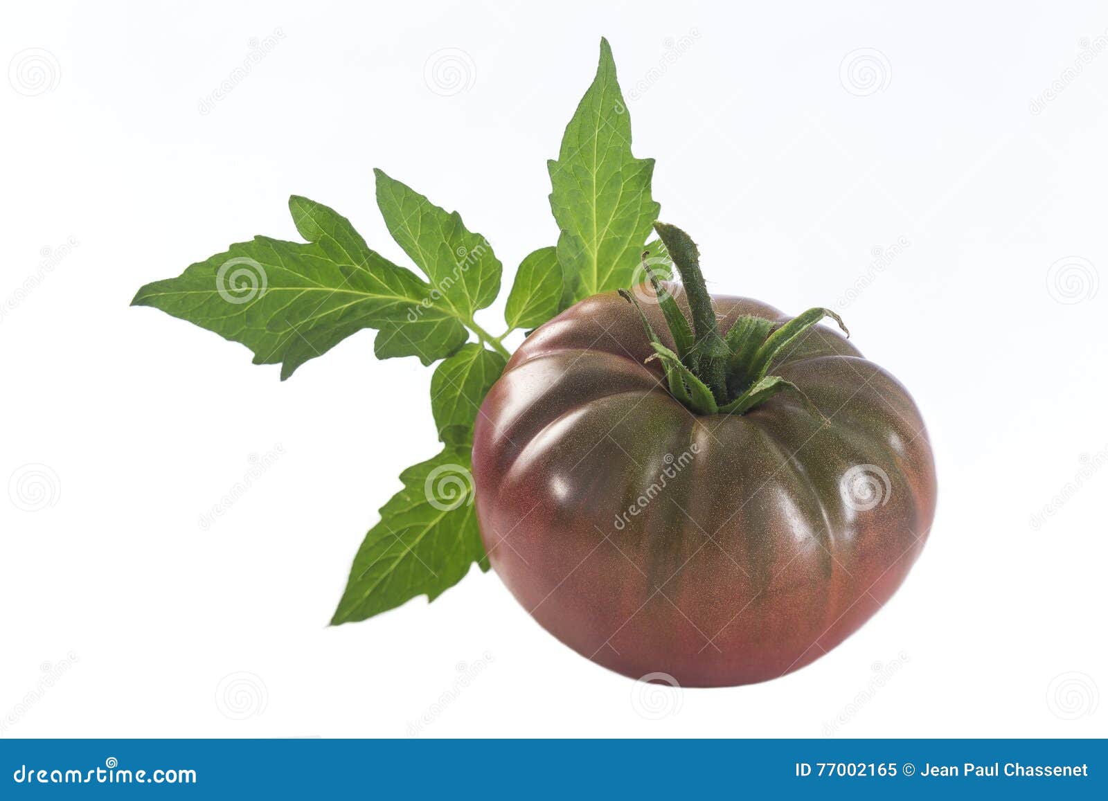 Isolated Dark Red Heirloom Tomato Stock Image Image of purple, ripe