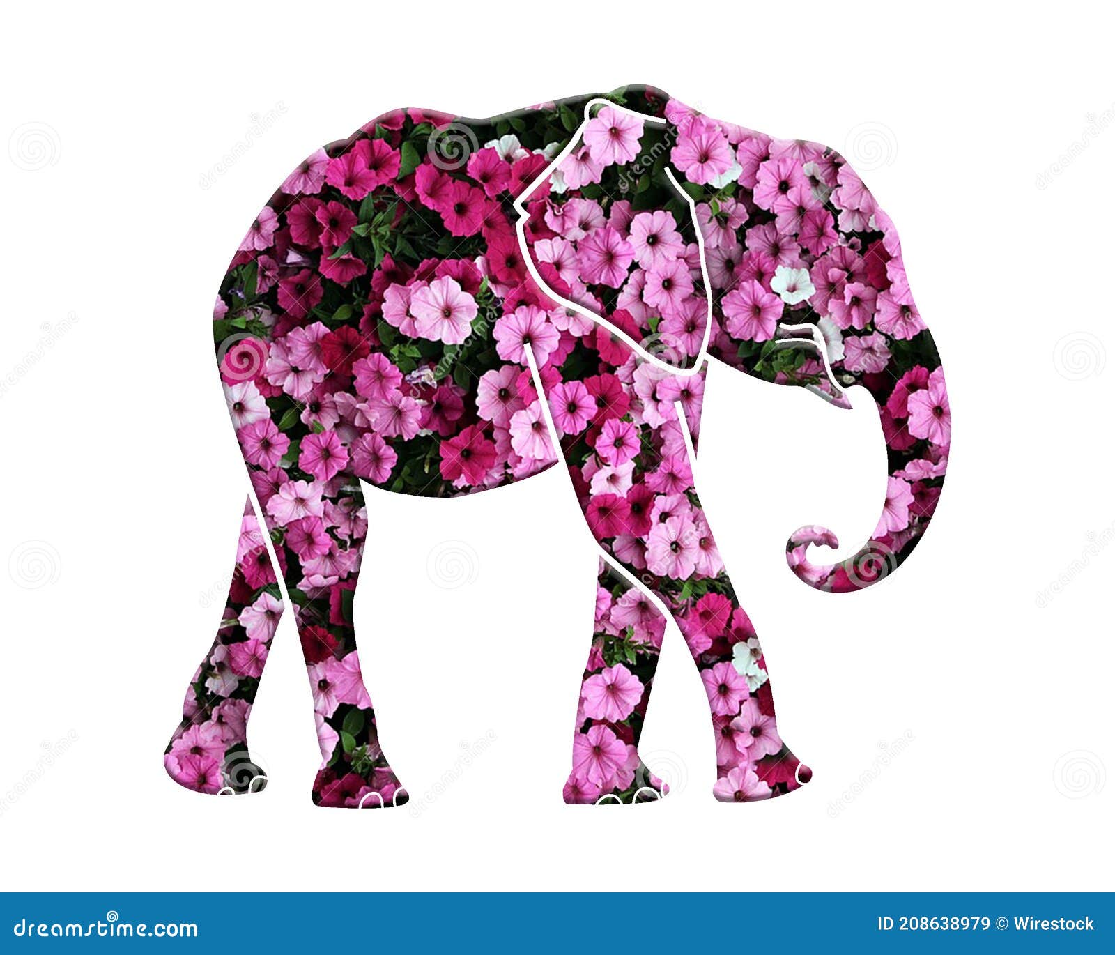 Isolated Elephant Composed of Pink Petunia Flowers on White Background Stock Image - Image of delicate, abstract: 208638979 Isolated Elephant Composed of Pink Petunia Flowers on White Background Stock Image - Image of delicate, abstract: 208638979