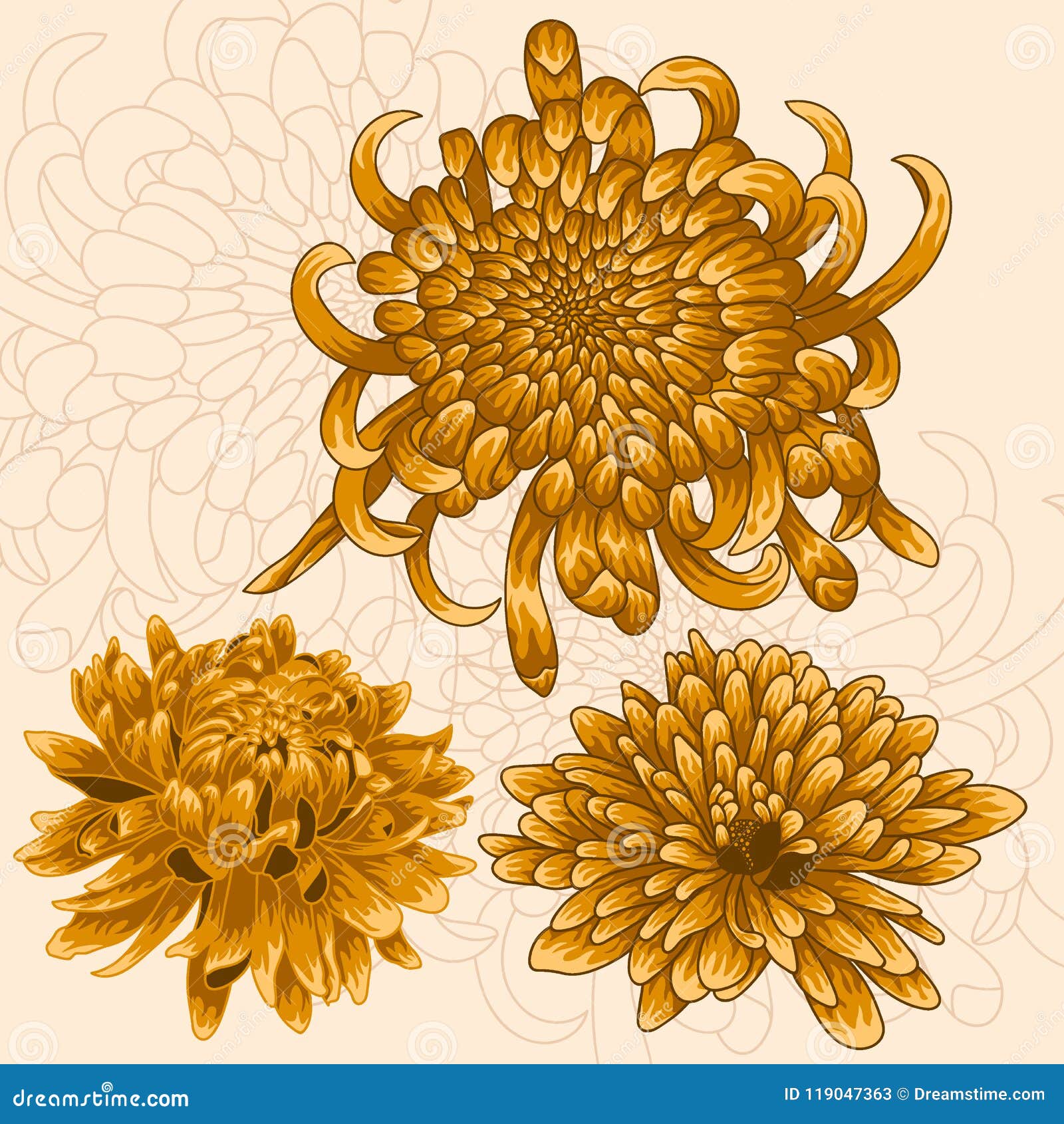 Isolated Flower Set. Golden Chrysanthemums. Stock Vector - Illustration ...