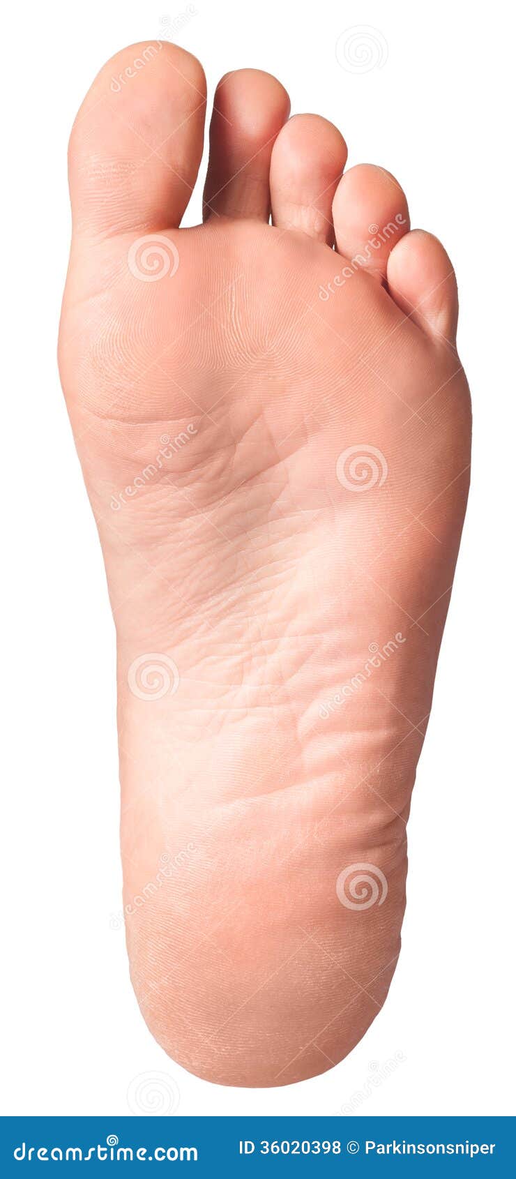 Isolated Foot Sole stock photo. Image of cosmetics, anatomy - 36020398