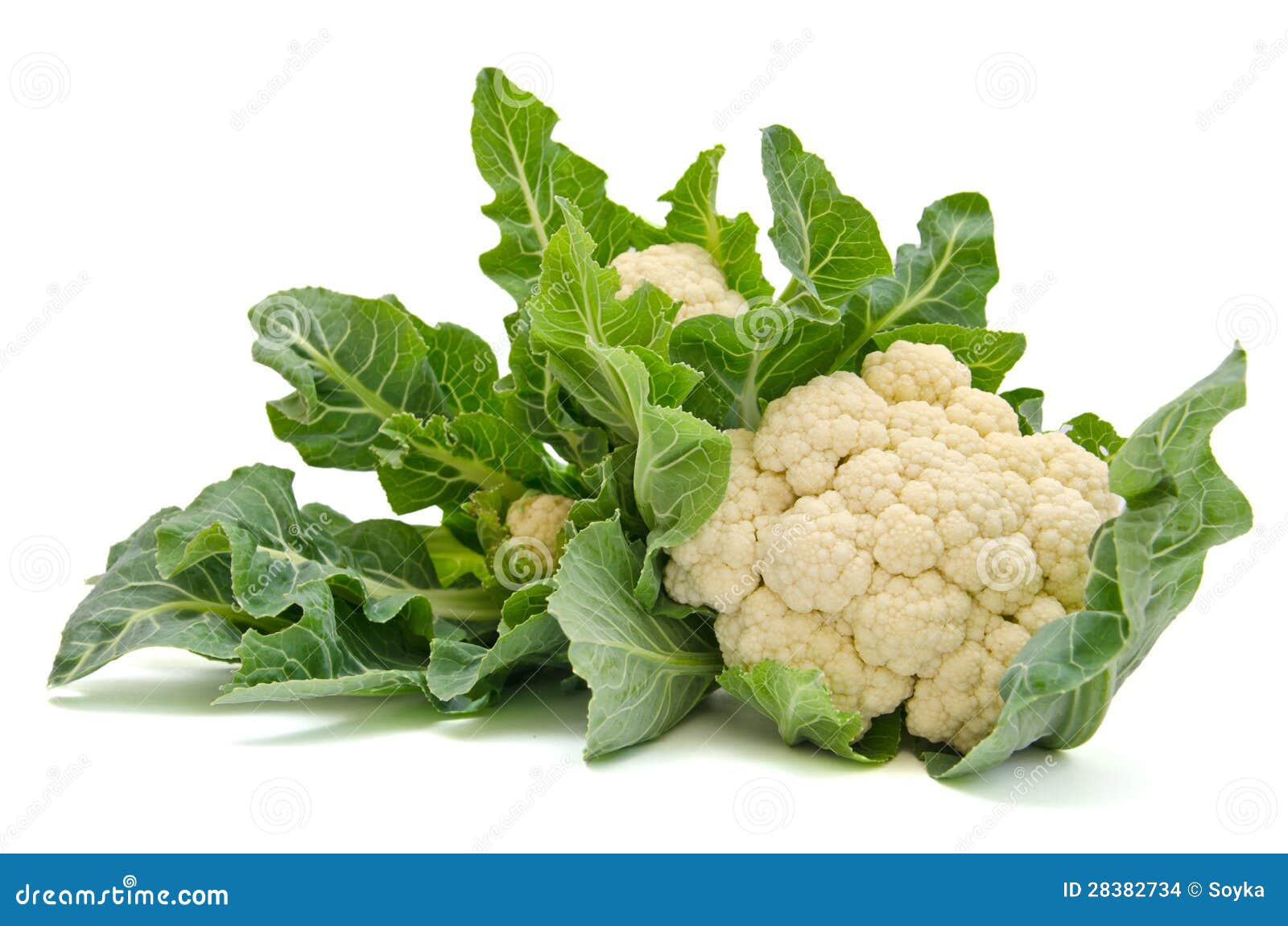 Isolated Fresh Cauliflower Cabbage with Green Leaves Stock Photo
