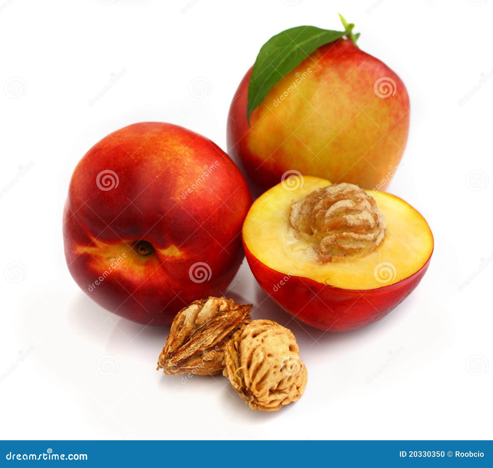 Isolated Fruits Nectarines Stock Photo Image of eating, lush 20330350
