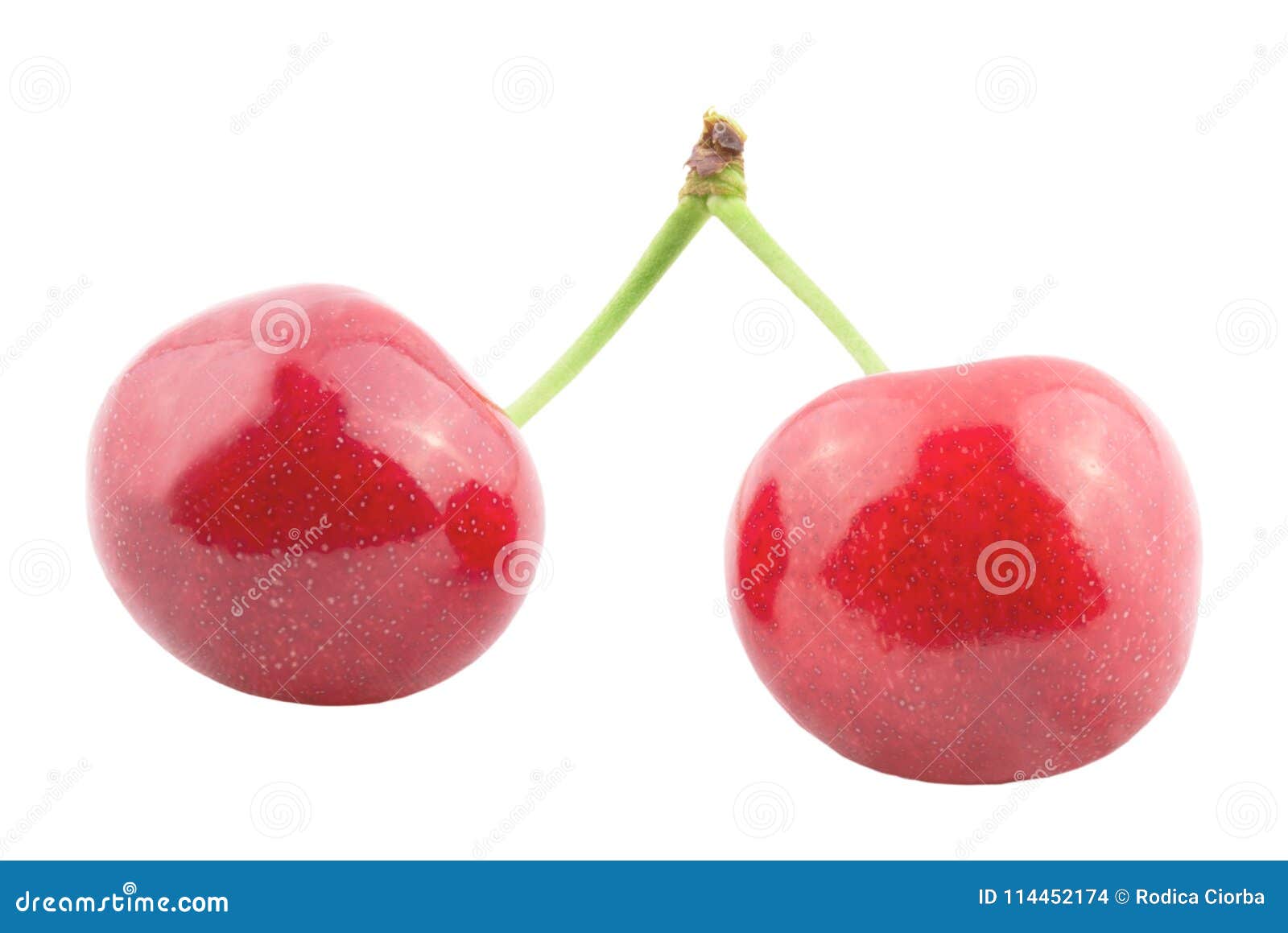 Two Cherries Isolated On White Background Stock Photo - Image of ...