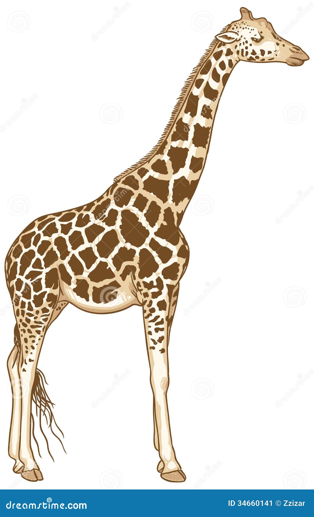 Isolated Giraffe Vector Illustration Stock Image  Image: 34660141
