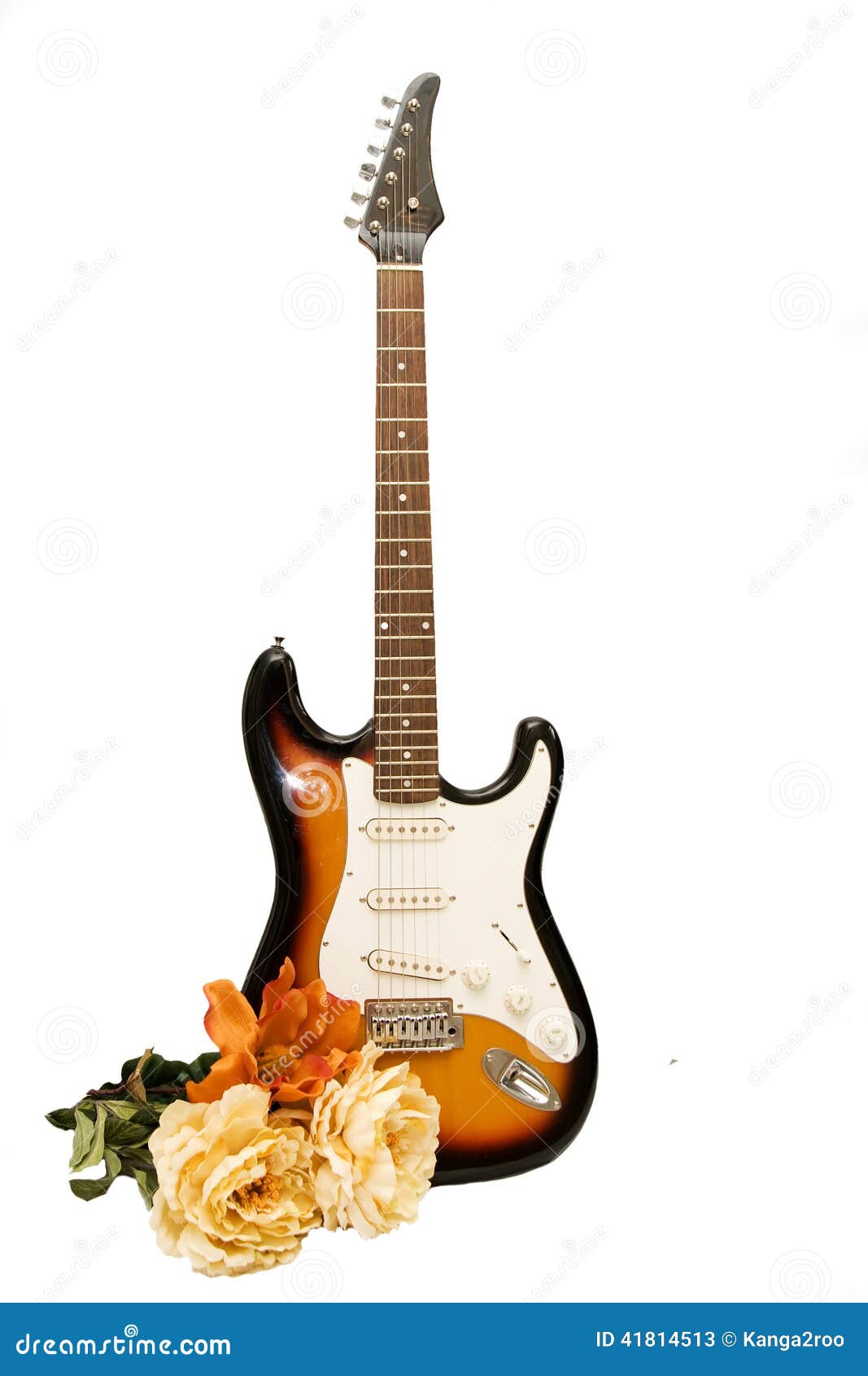 Isolated Guitar with Flowers Stock Image Image of brown, beauty 41814513