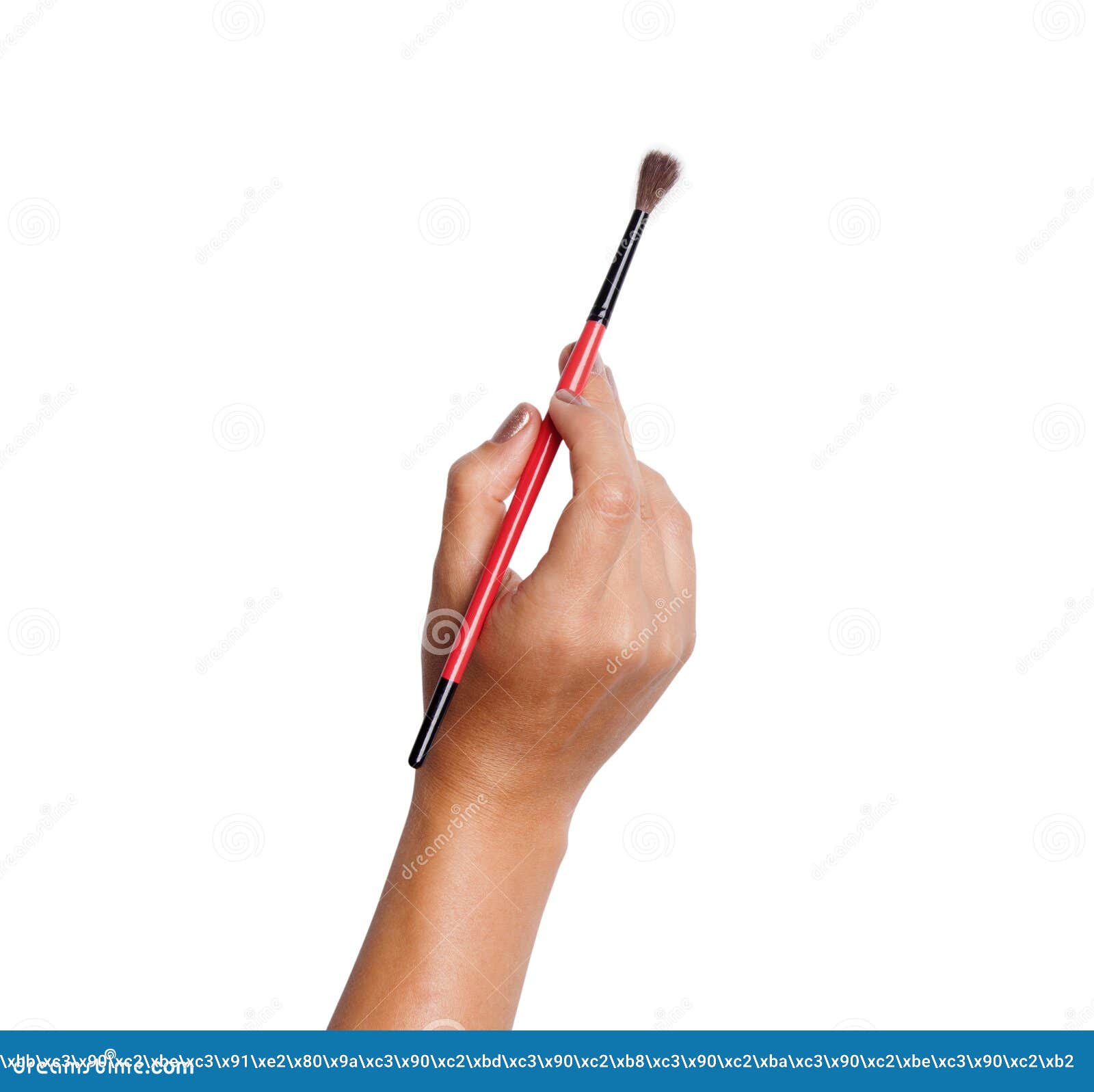 Isolated Hand Holding a Paintbrush. Brush Painting on White Background  Stock Photo - Image of paper, paintings: 99634488