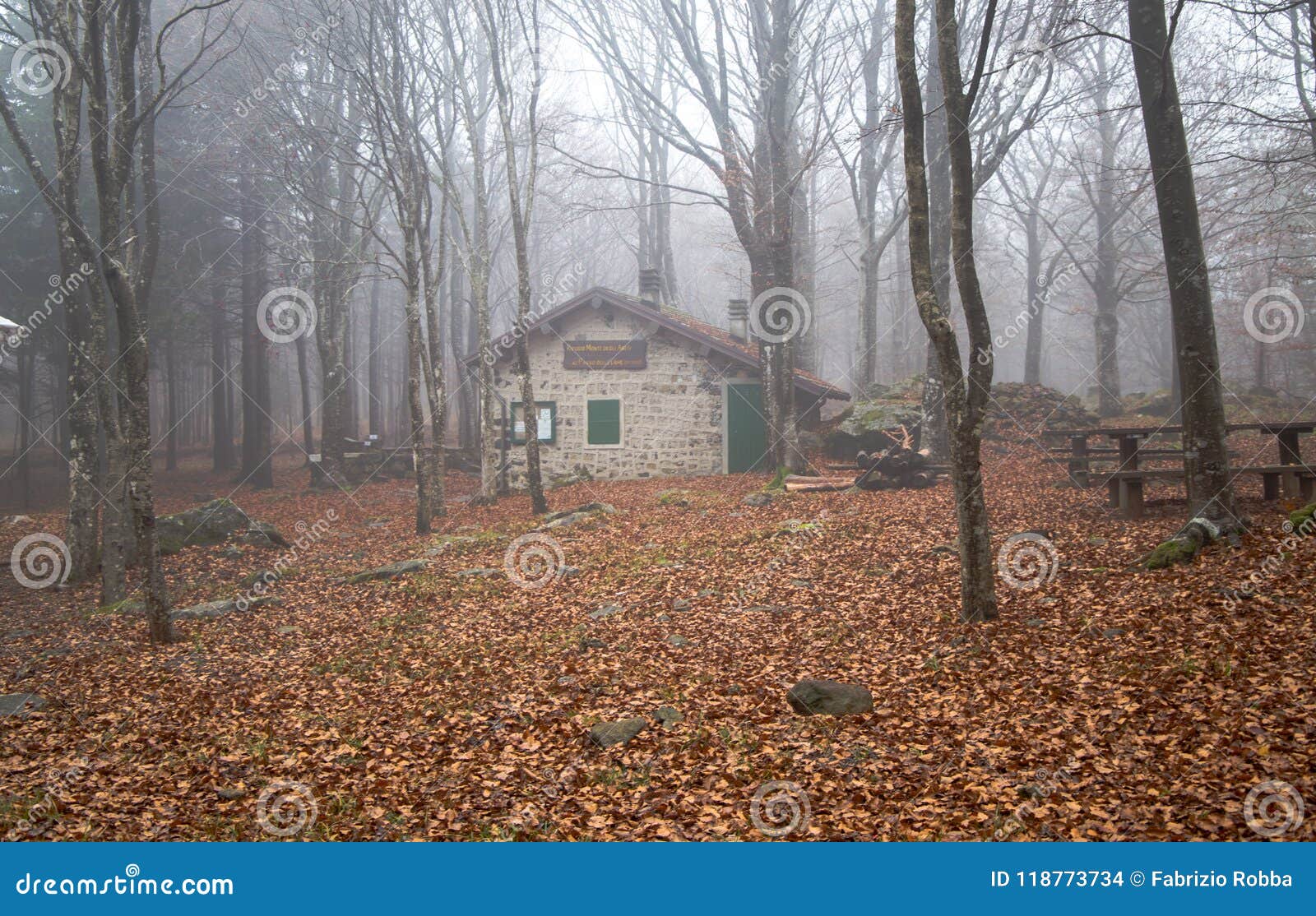  house in the beeches forest.