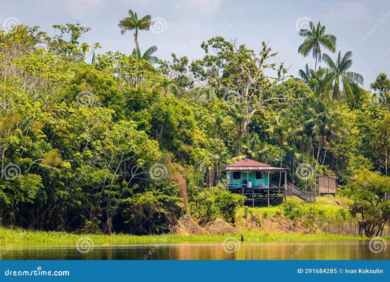Isolated House in the Jungle of Amazon Tropical River Stock Image