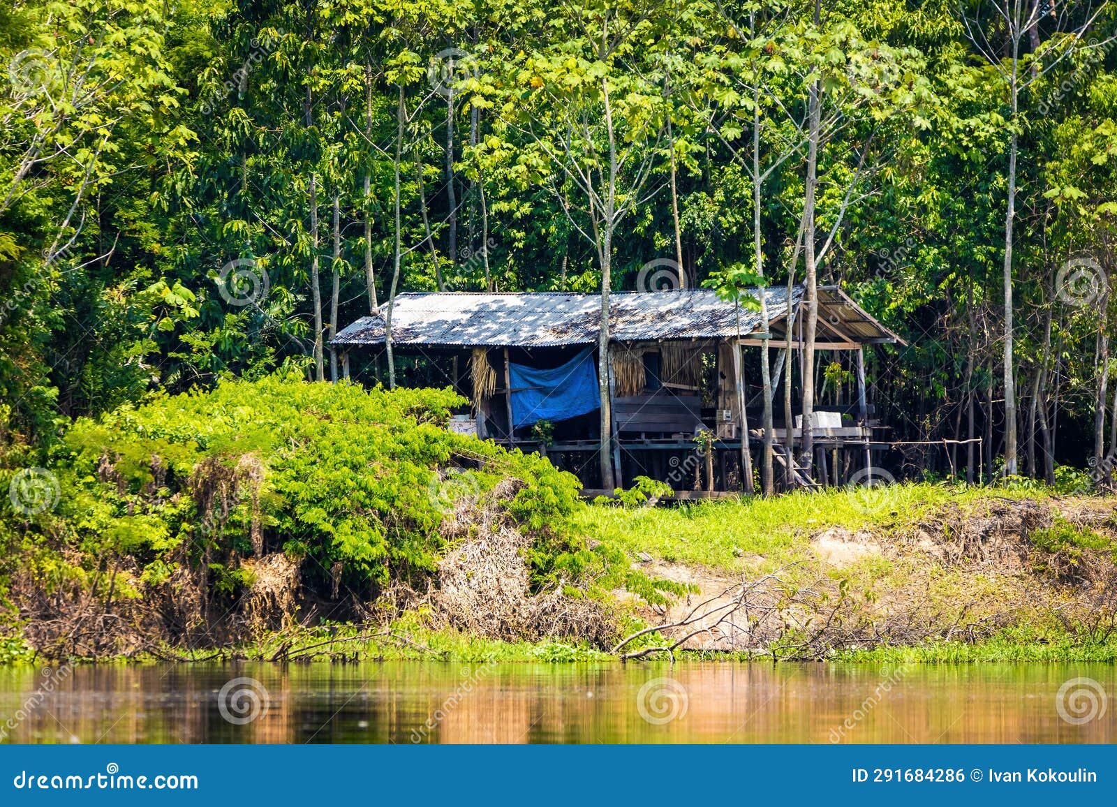 Isolated House in the Jungle of Amazon Tropical River Stock Photo