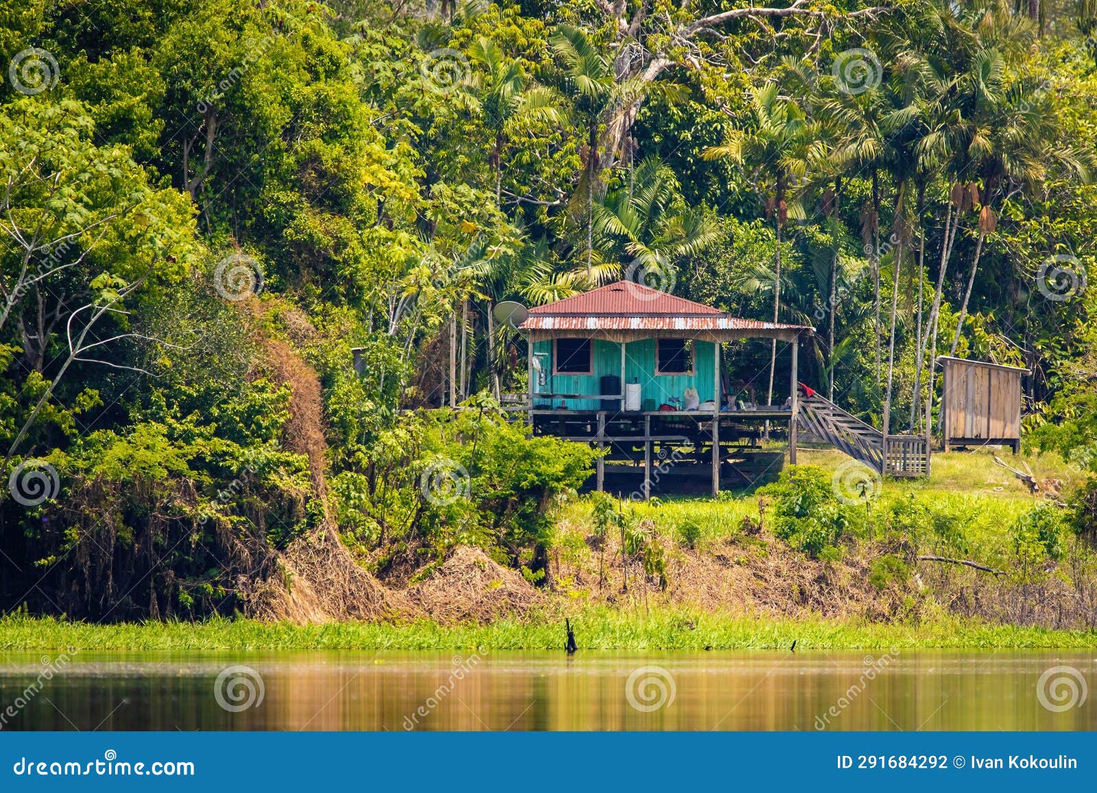 Isolated House in the Jungle of Amazon Tropical River Stock Photo