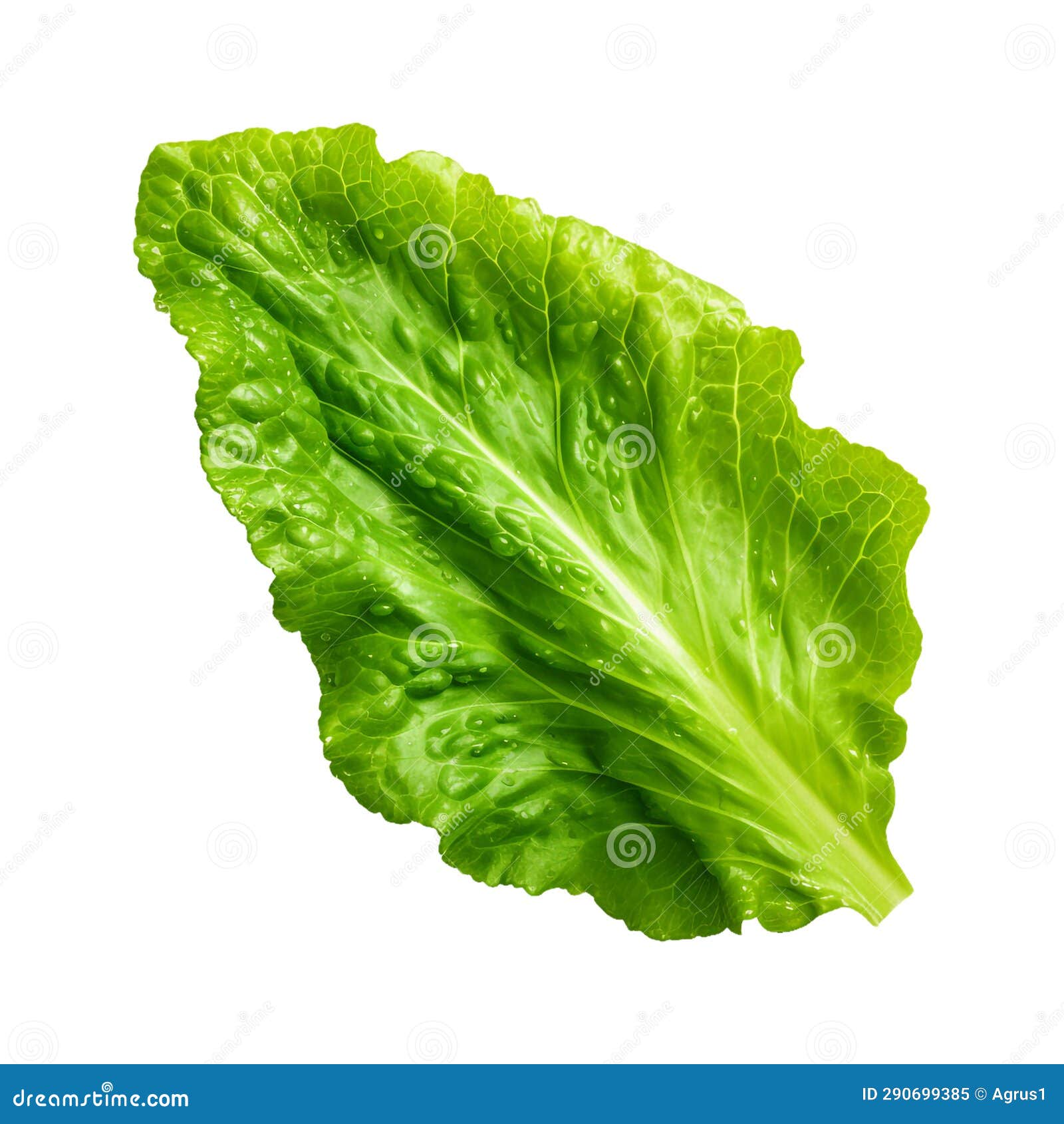 Isolated Illustration of Salad Green Leaves. Generative AI Stock