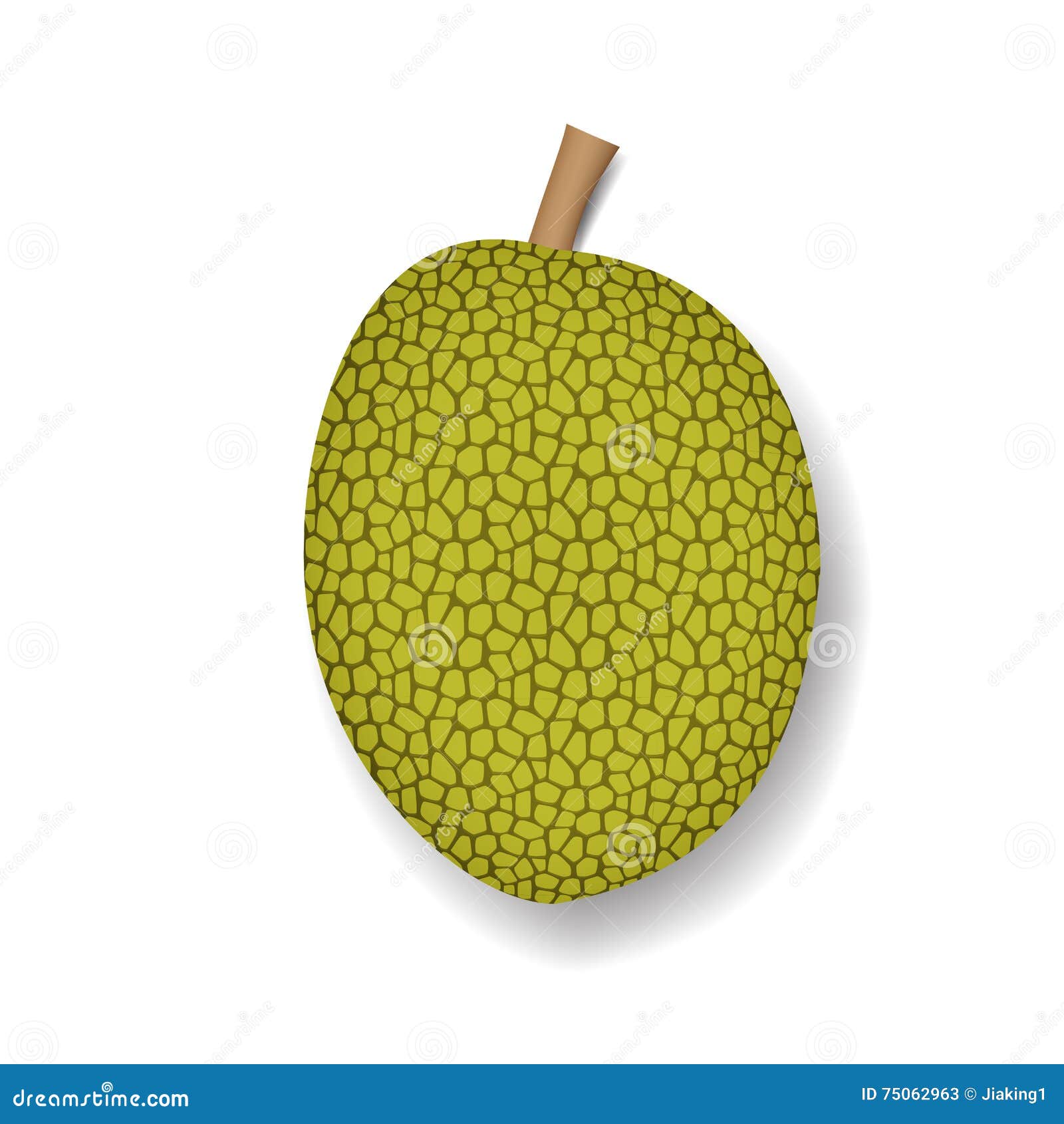 Isolated Jackfruit on White, Realistic Vector Stock Vector