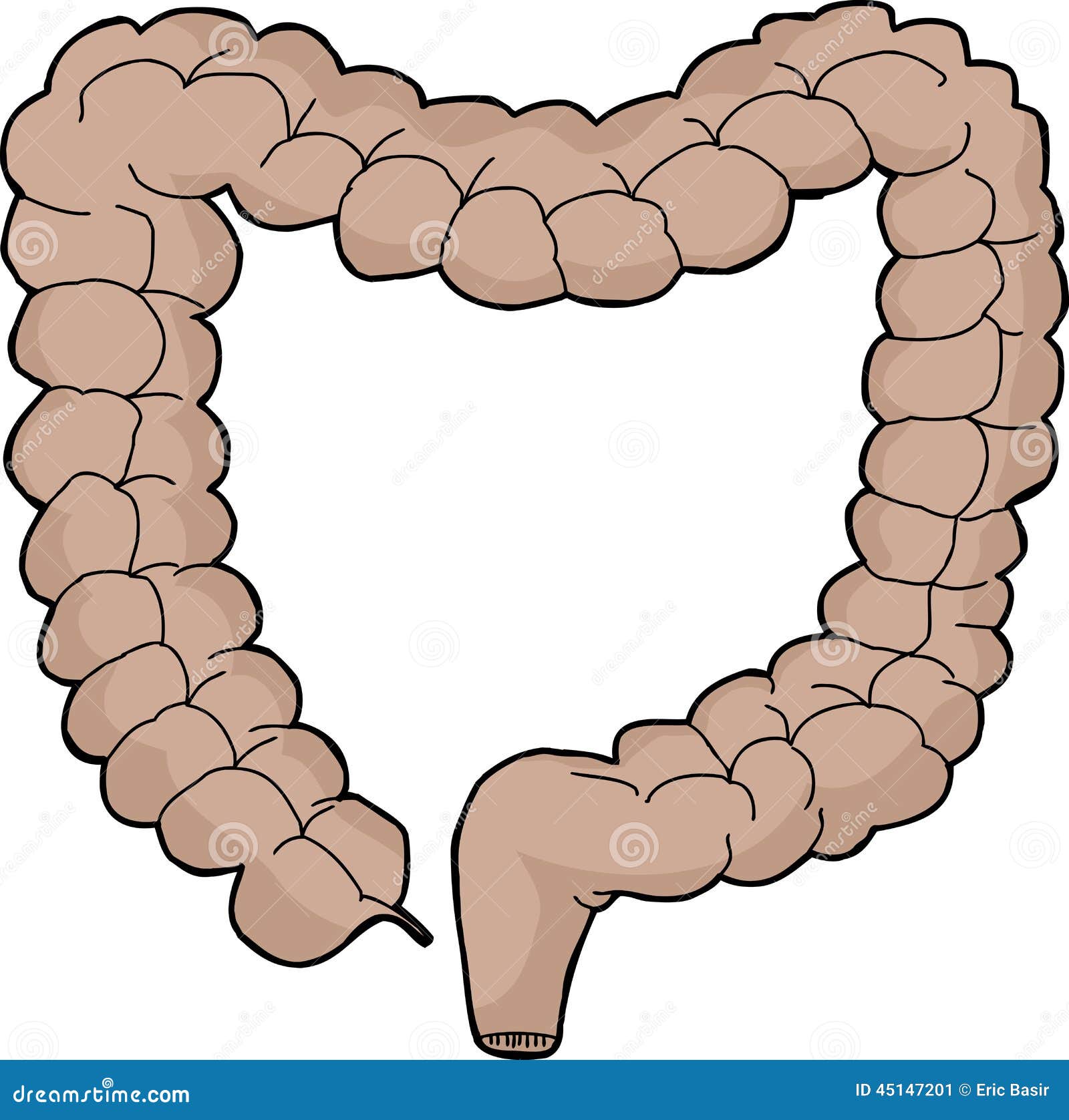 Large Intestine Cartoon Image
