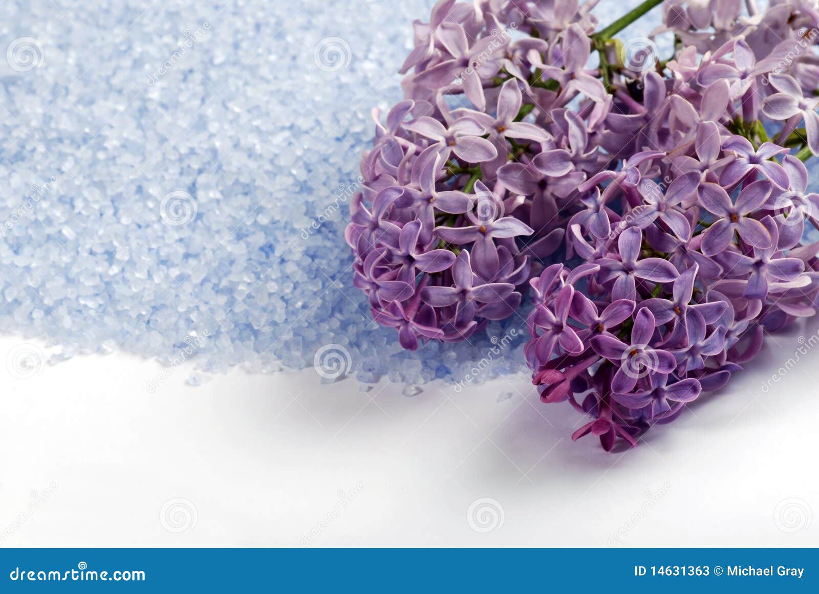 Isolated Lilac Bath Salts with Flowers Stock Image Image of beauty