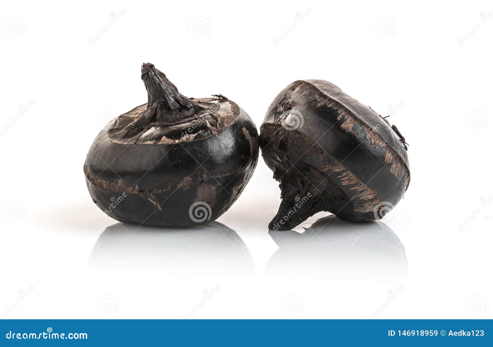 Isolated Macro Image of Water Chestnut Stock Image Image of crops