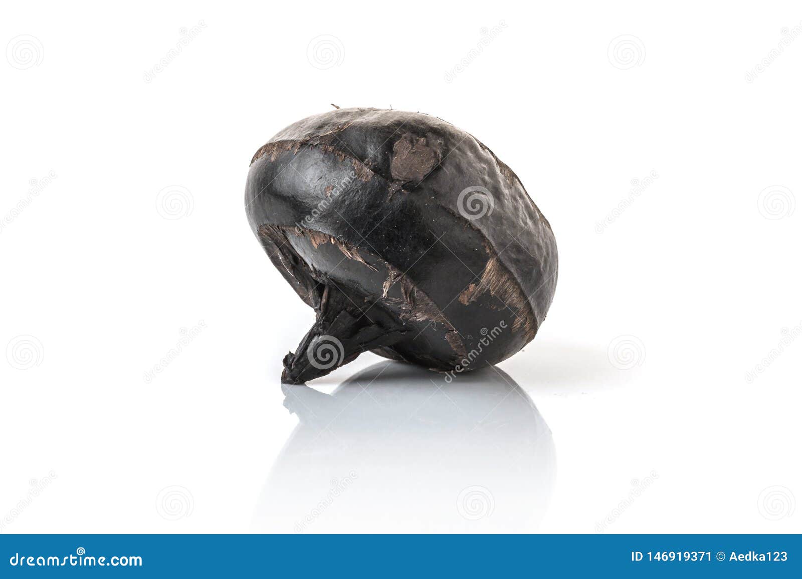 Isolated Macro Image of Water Chestnut Stock Image Image of chinese