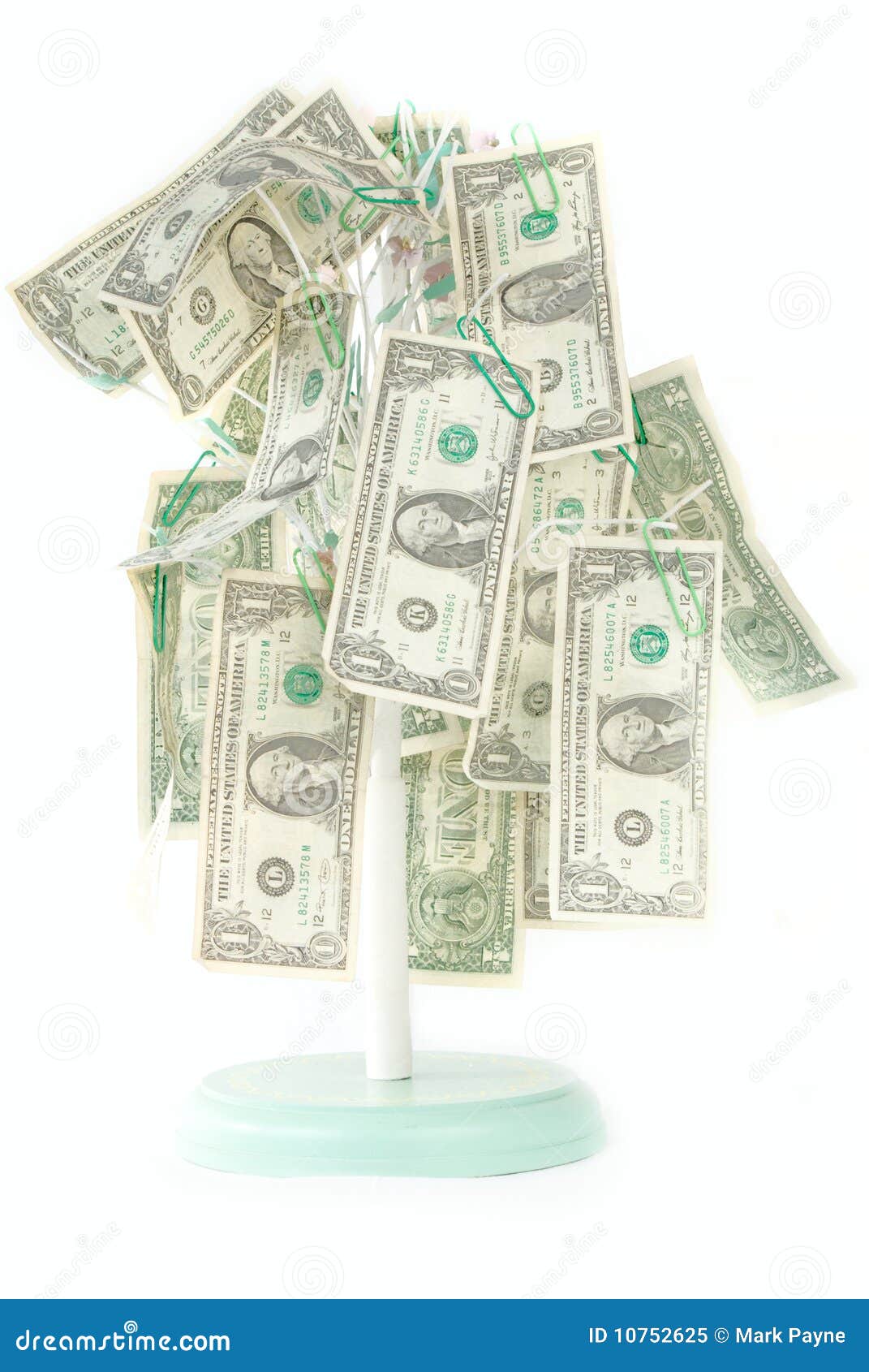 Isolated Money Growing on Tree Stock Image Image of isolated, bills