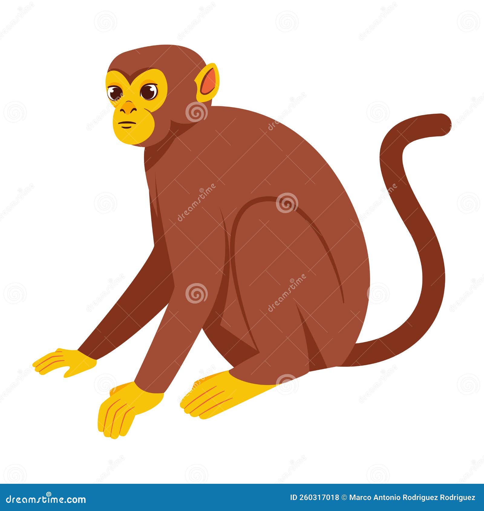 isolated-monkey-character-chinese-zodiac-symbol-vector-stock-vector