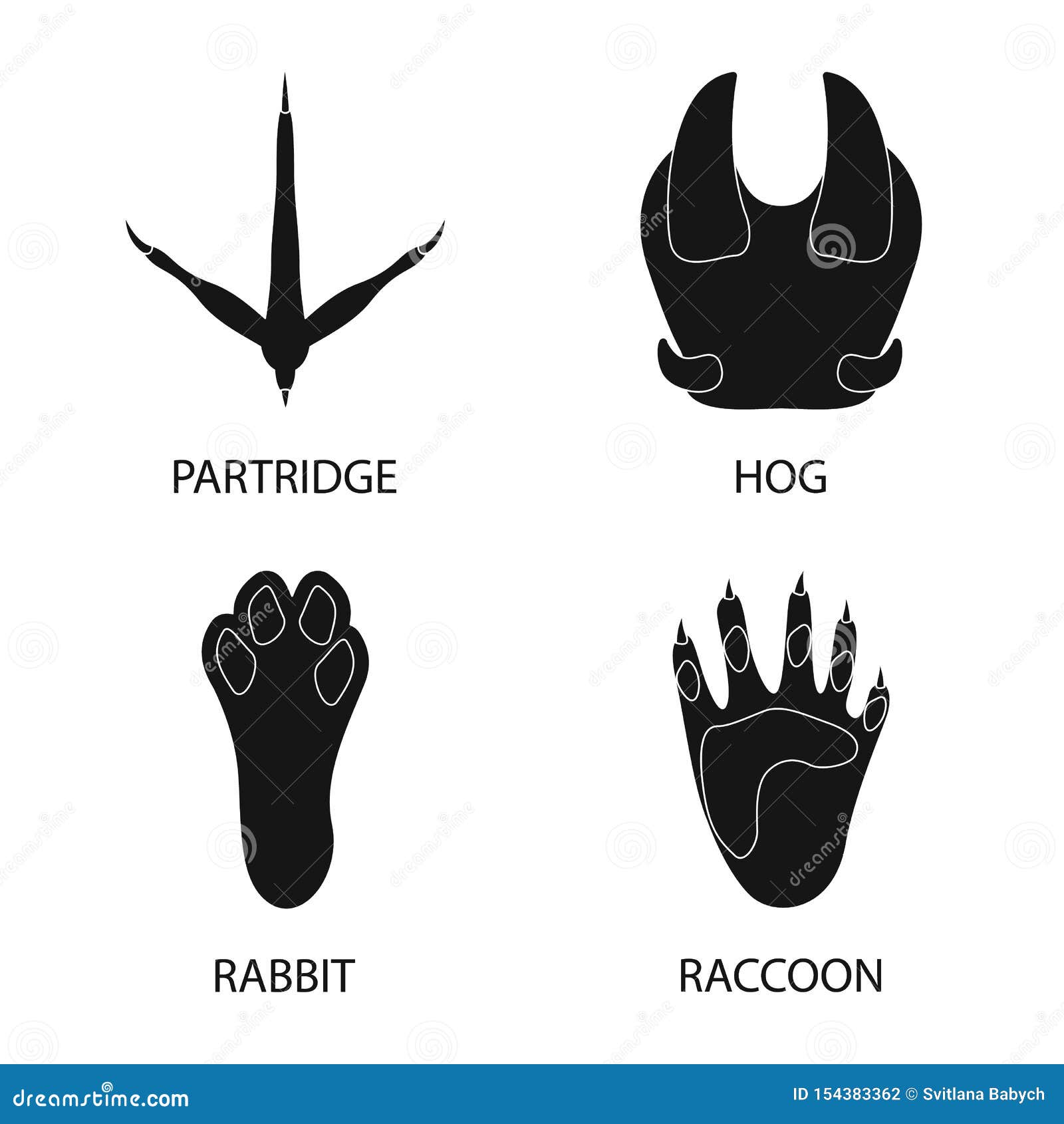 Isolated Object Of Feet And Fauna Sign. Collection Of Feet ...