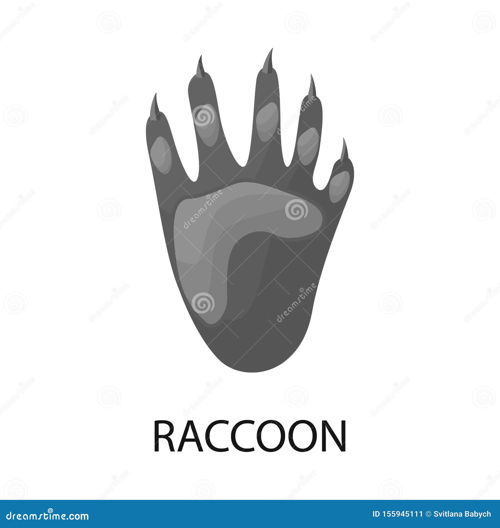  object of track and raccoon . set of track and wild stock  for web.