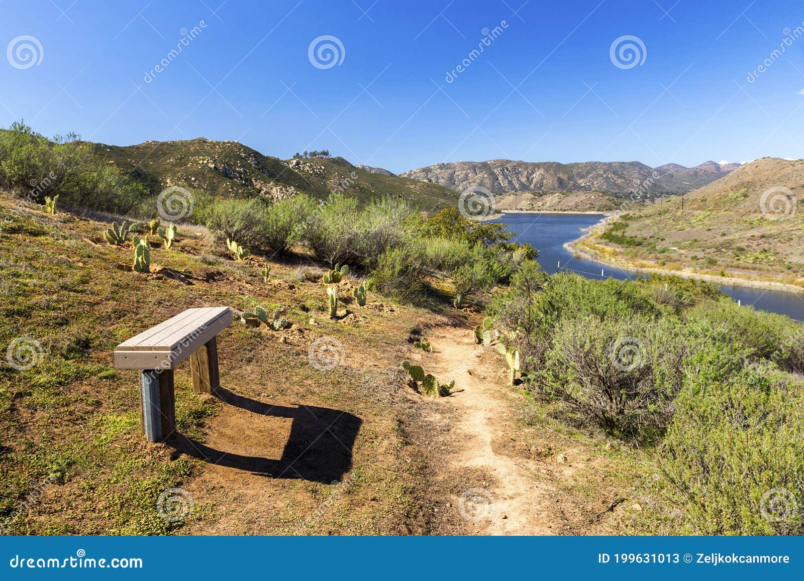  park bench green cactus desert lake hodges poway landscape san diego county north inland