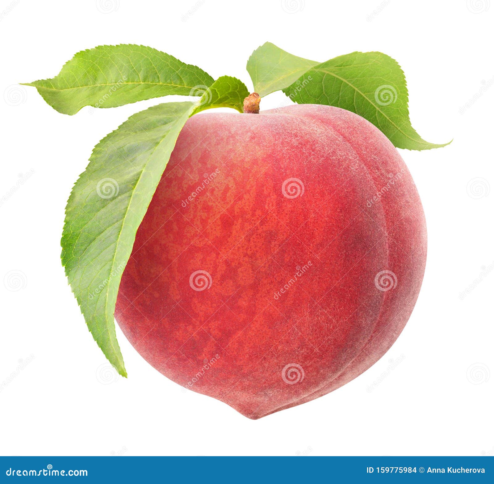  peach with leaves