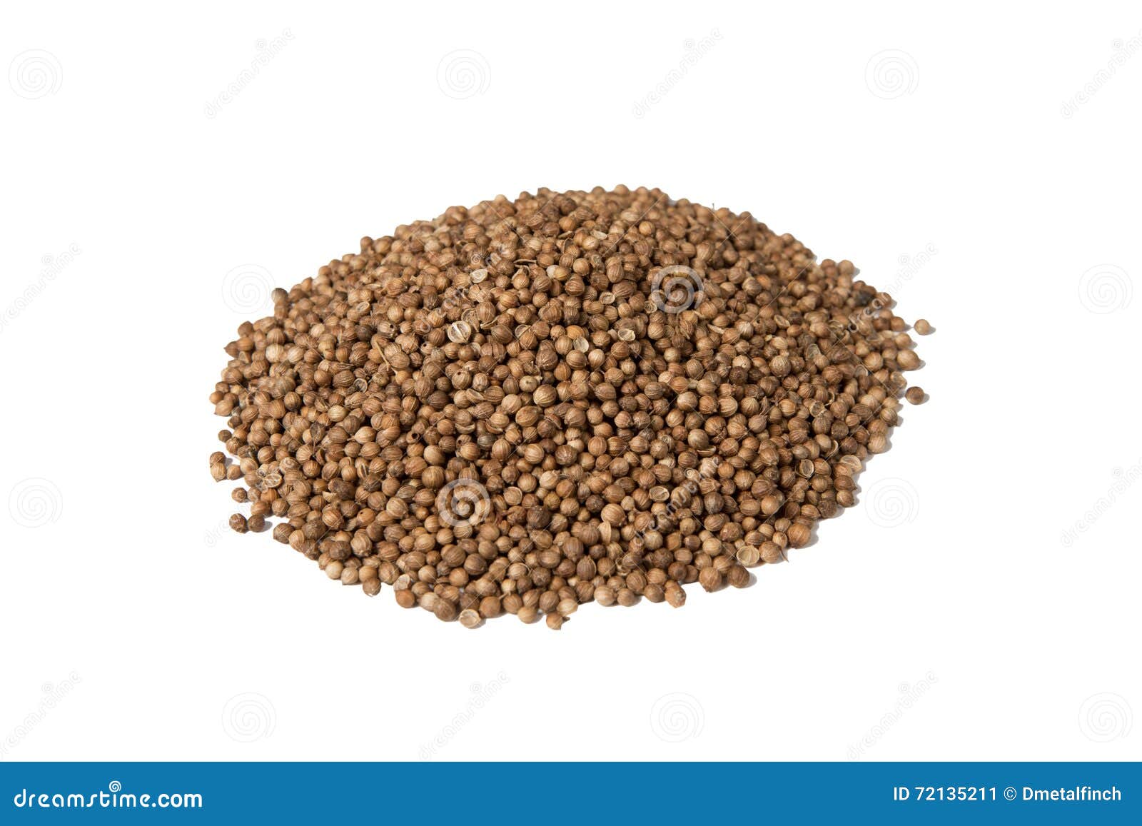 Isolated Pile of Dried Coriander Seed Stock Image Image of dried