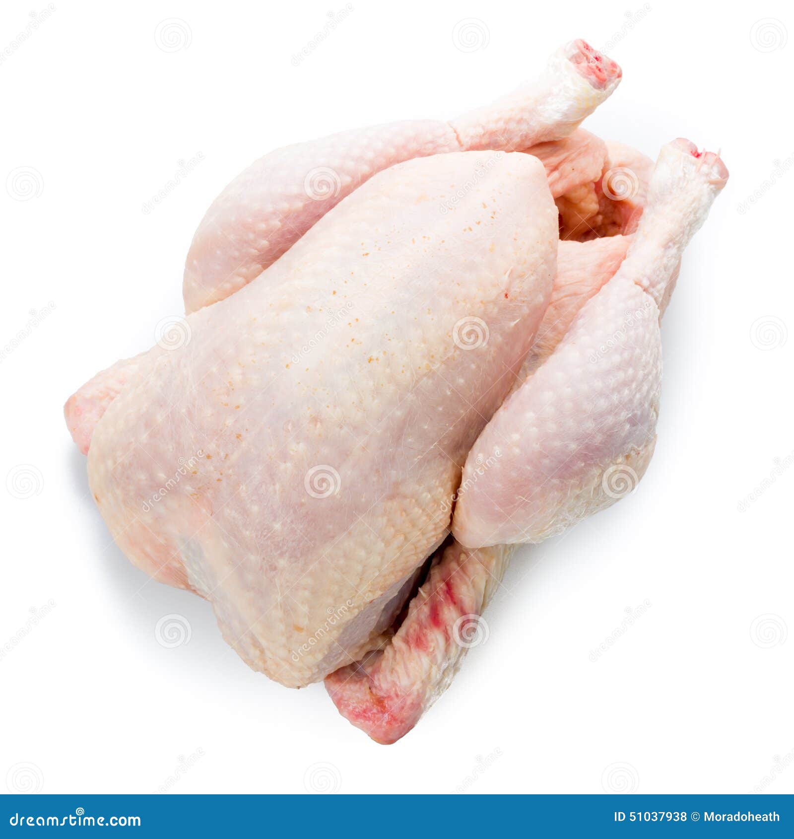 Trimming Chicken Stock Photography 44518340