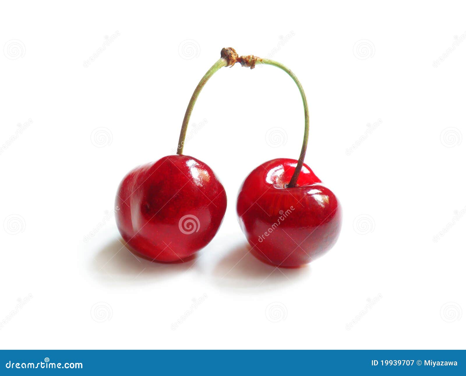 Isolated red cherries stock image. Image of cherries 19939707
