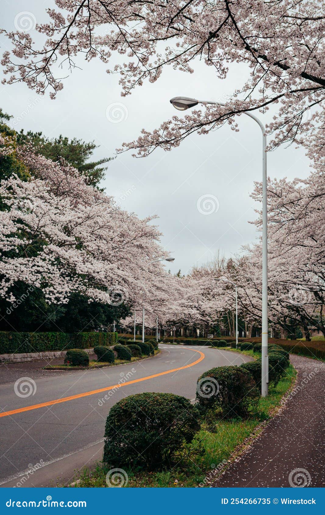 Tsukuba Japan Photos Free Royalty Free Stock Photos From Dreamstime