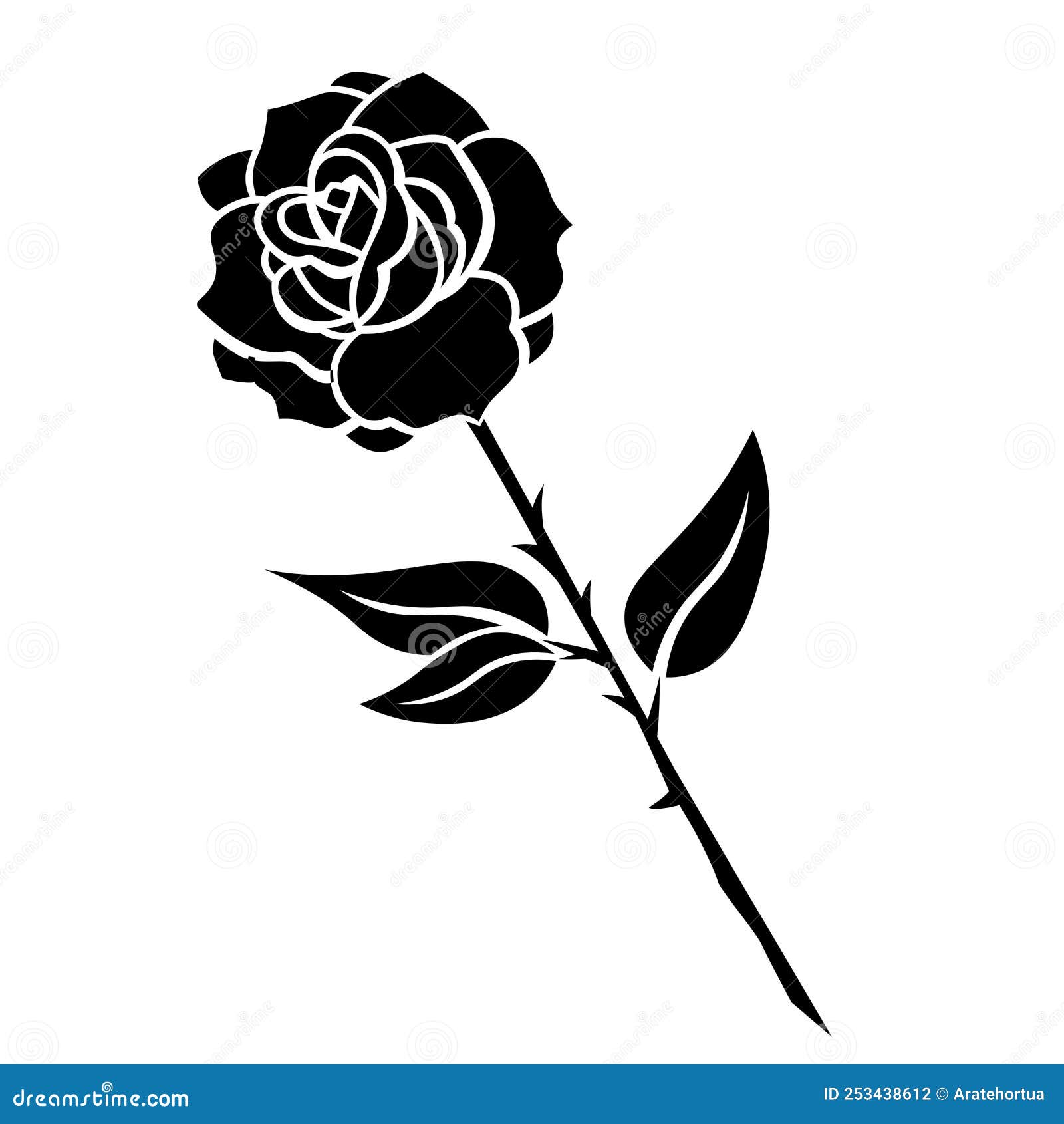 Isolated Rose Medium Great Phases Vector Illustration Stock Vector ...