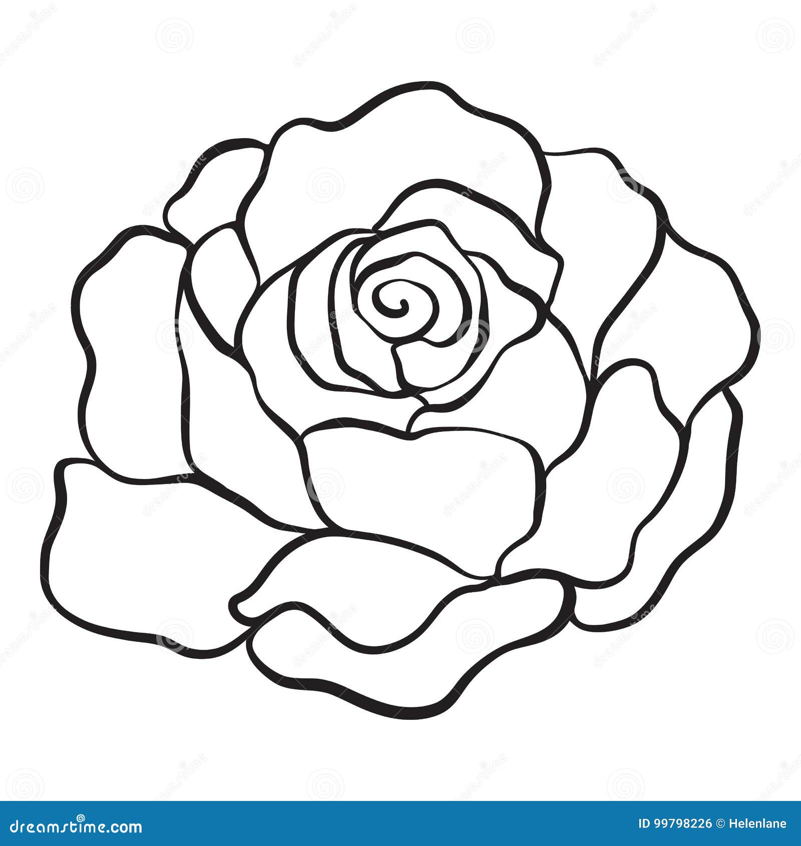 Outline Drawings Of Roses