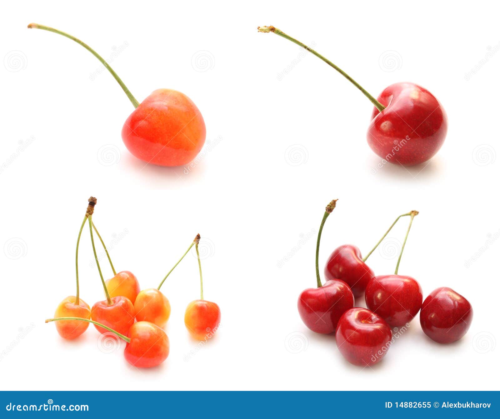 Isolated Set of Orange Cherry and Red Cherry Stock Image Image of