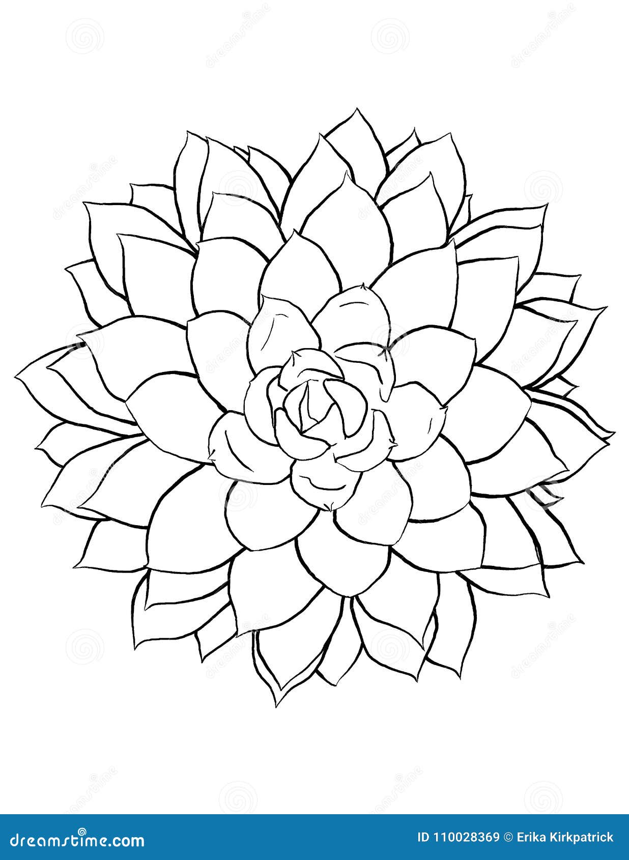 What Does Succulent Tattoo Mean  Represent Symbolism