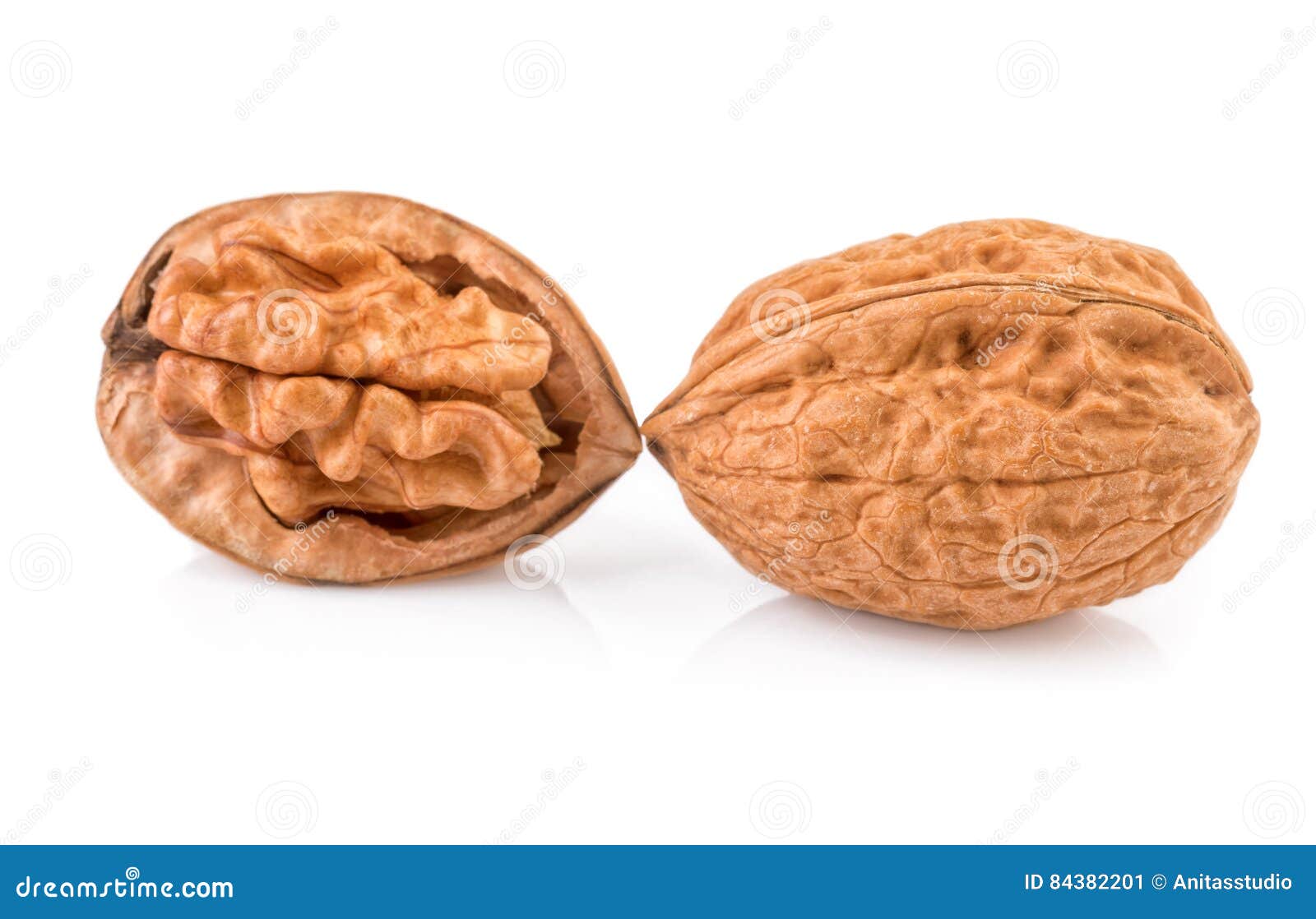Isolated Walnut. Two Halves of Walnuts Isolated on White Background