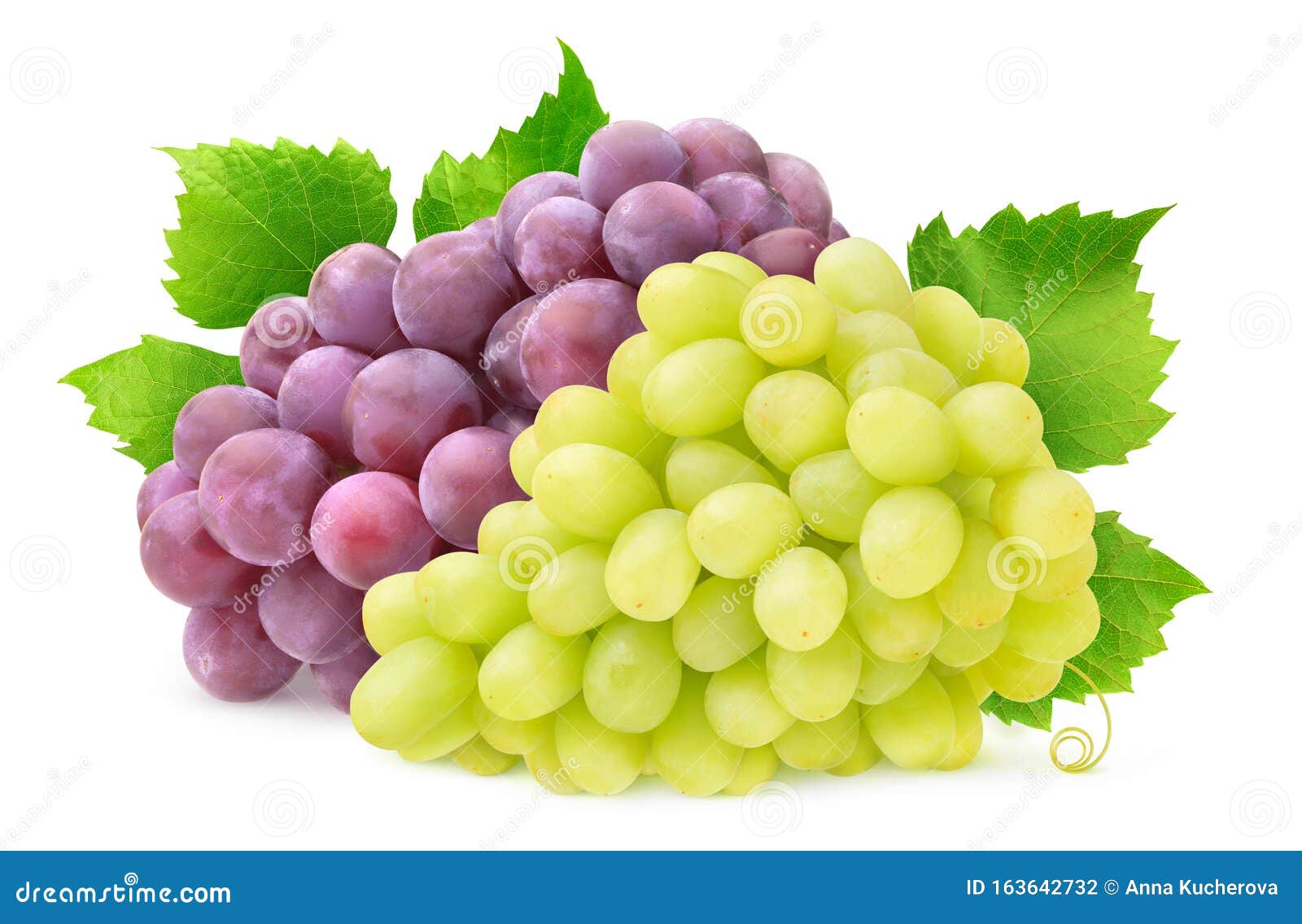 Isolated White and Red Grapes Stock Photo Image of horizontal