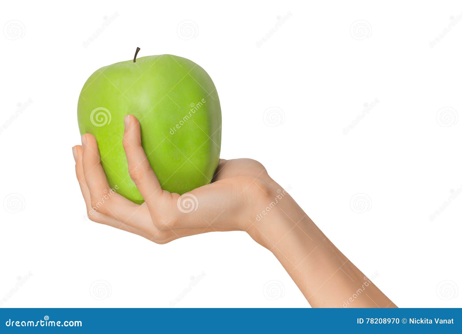 Isolated Woman Female Hand Holding A Fruit Green Apple On A White