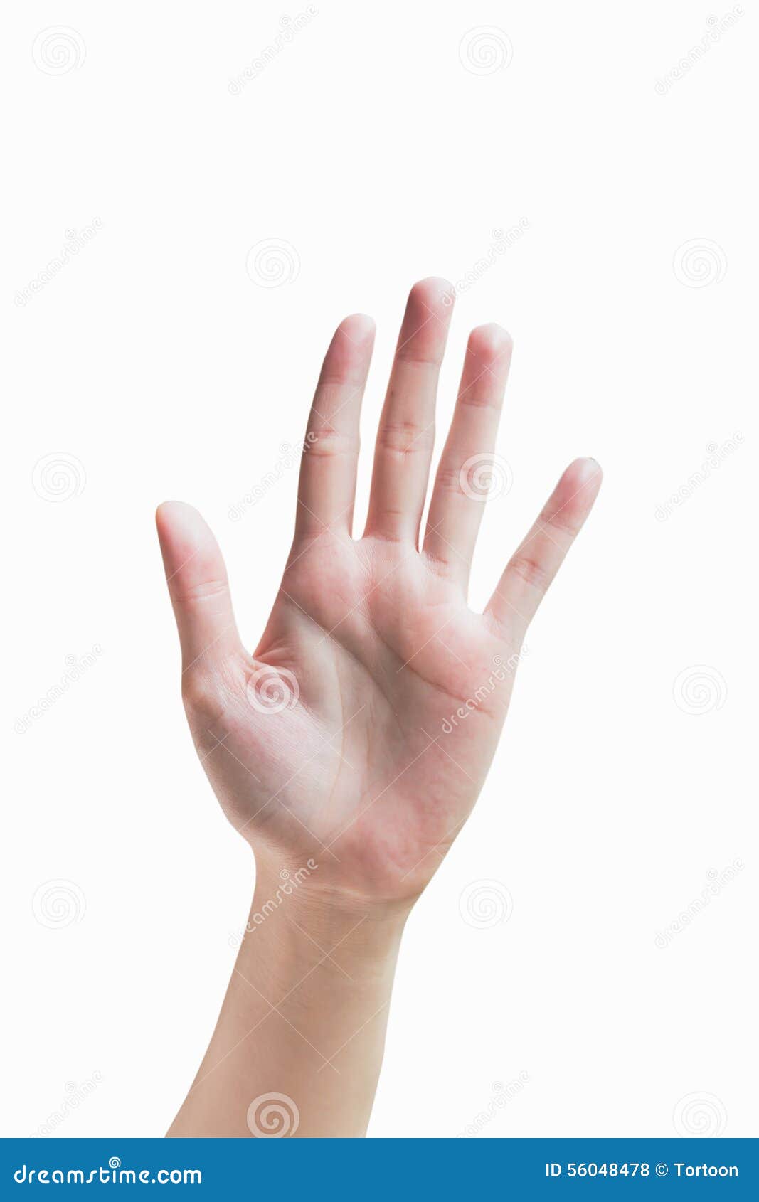 Isolated Woman Hand Shows The Number Five Stock Photo Image Of Sign