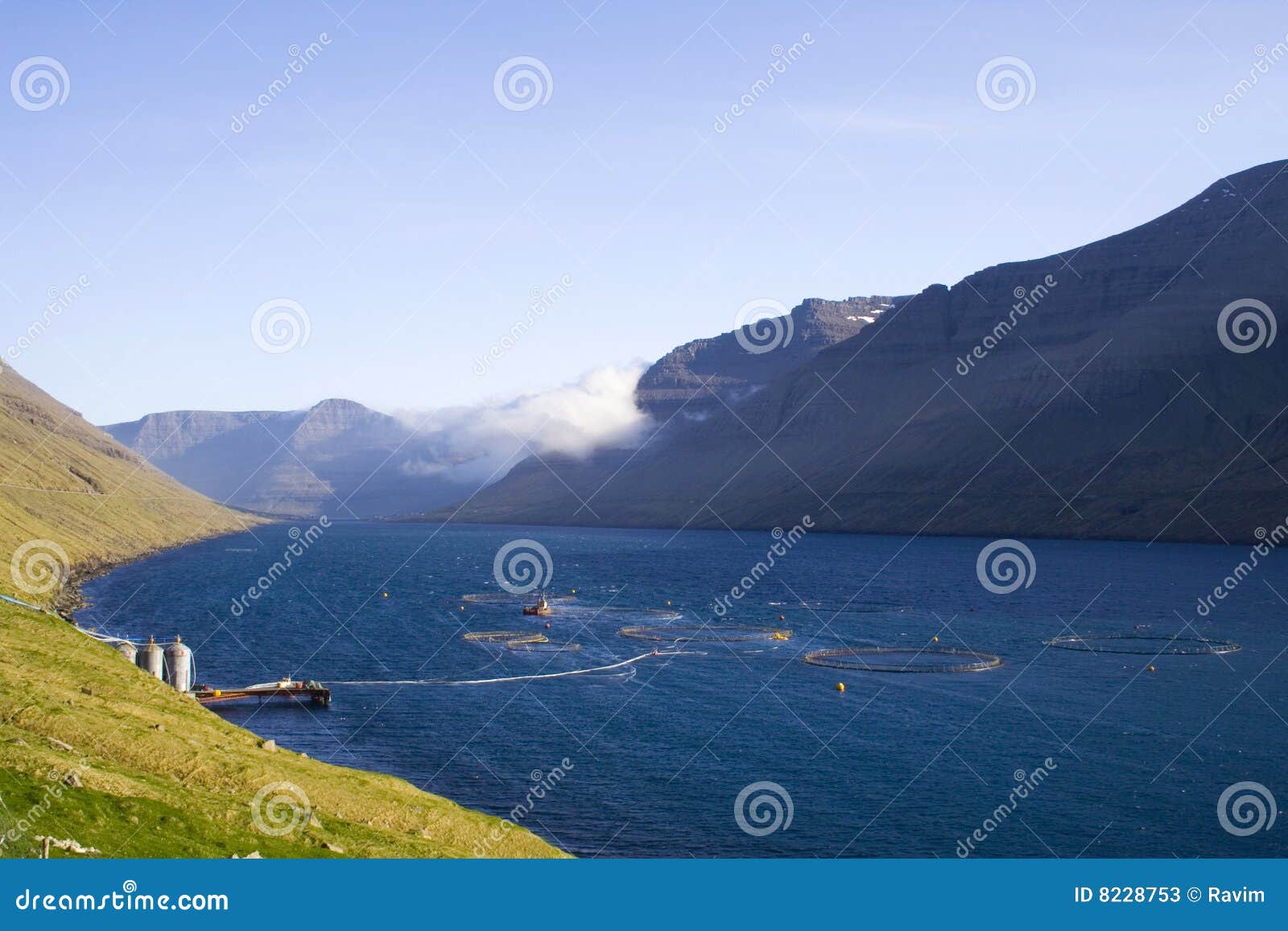 Industria della pesca alle isole faroe