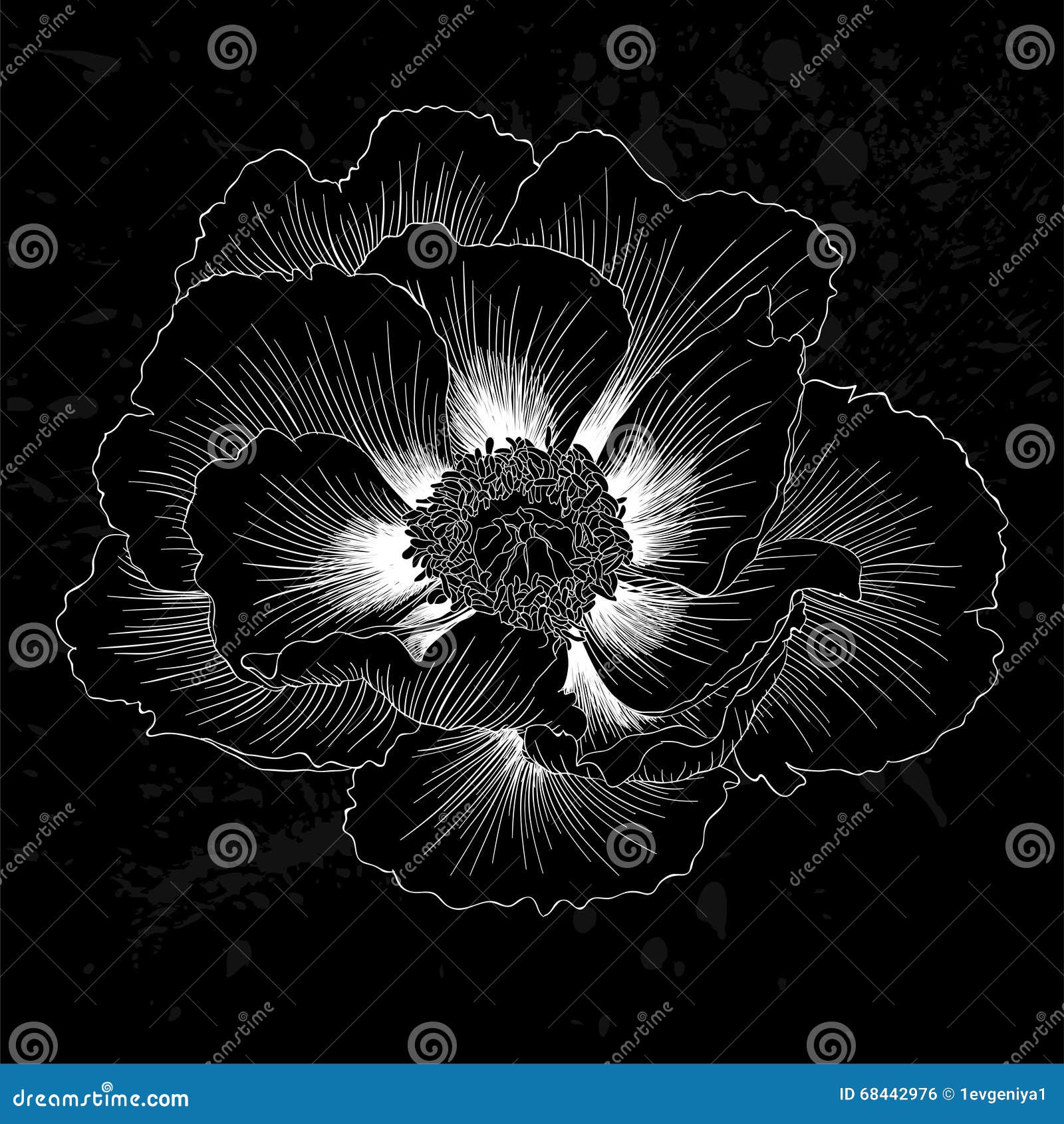 Svartvit Blomma Stock Illustrationer Vektorer And Clipart 23745