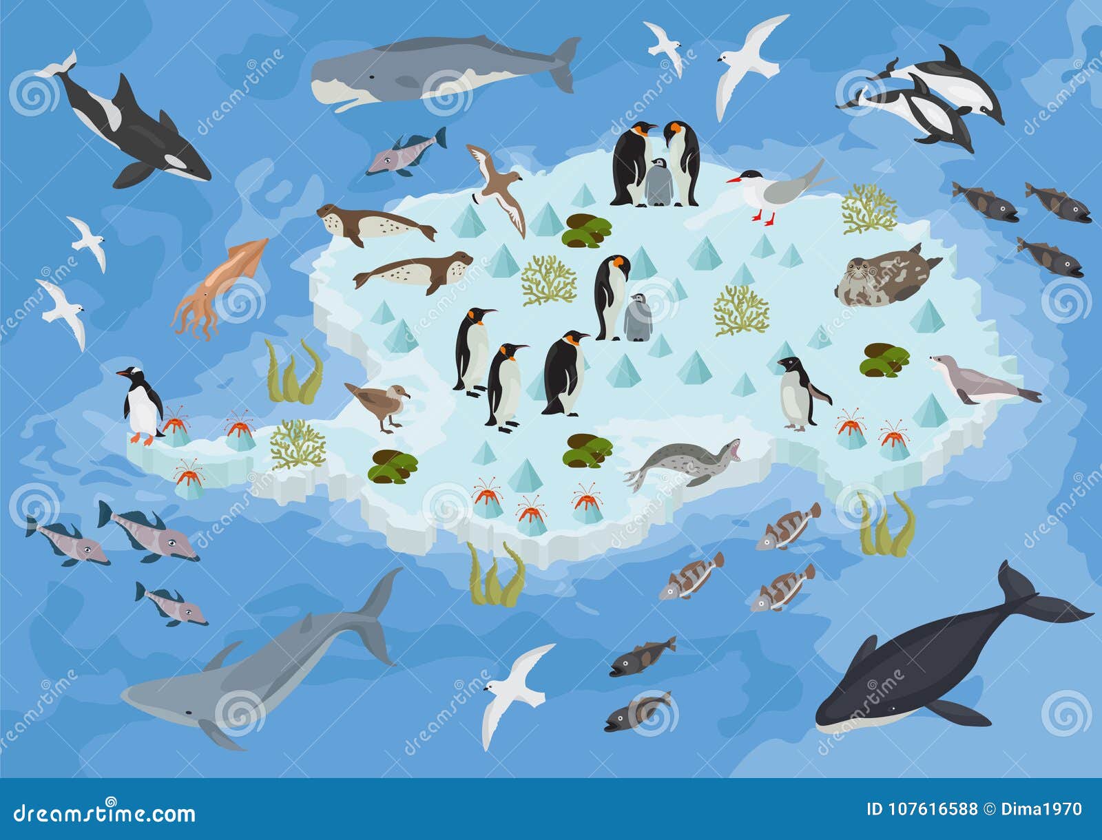 Infographic South Pole Animals Stock Illustrations – 16 Infographic South Pole Animals Stock Illustrations, Vectors & Clipart - Dreamstime Infographic South Pole Animals Stock Illustrations – 16 Infographic South Pole Animals Stock Illustrations, Vectors & Clipart - Dreamstime