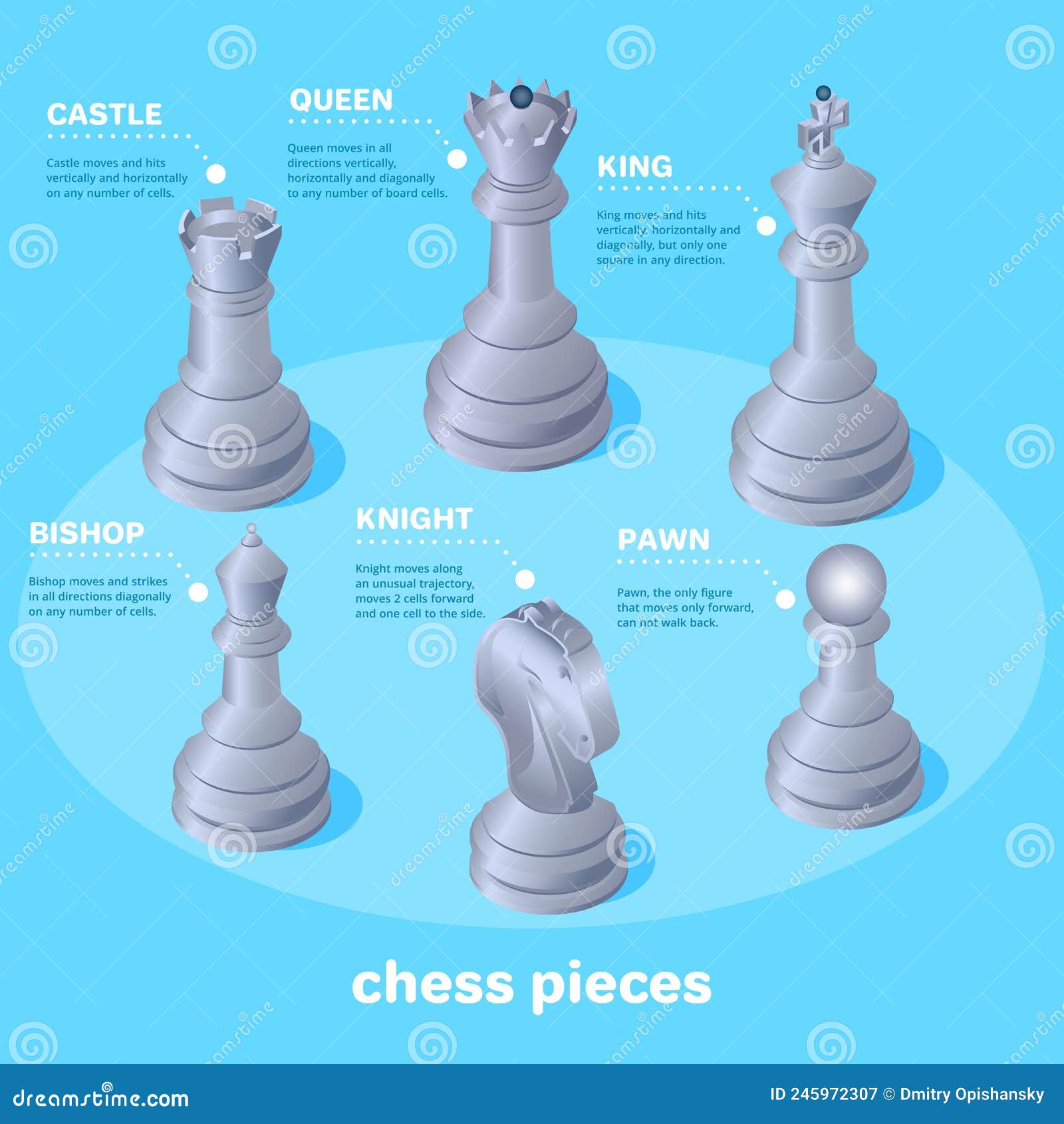The Names of Chess Pieces at a Glance.